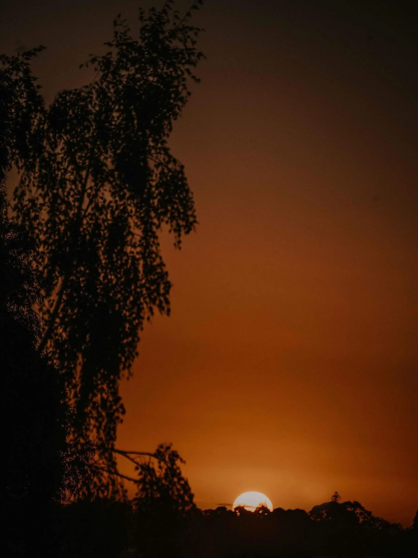 Why are we so hell bent on destroying this beautiful planet 🥺

@tiziamayphotography