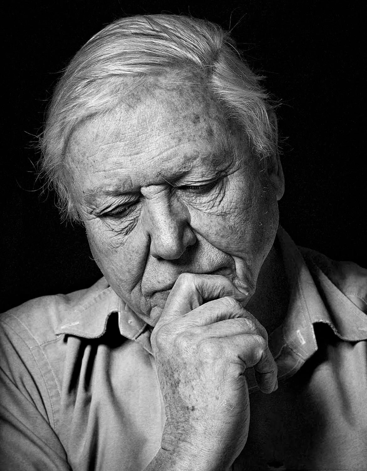 Happy 100th birthday Sir David Attenborough.  Thank you for your incredible storytelling and brilliant work with the animal world and the environment and your gentle beautiful way of bringing to this all to life in our loungerooms.  It was your visio