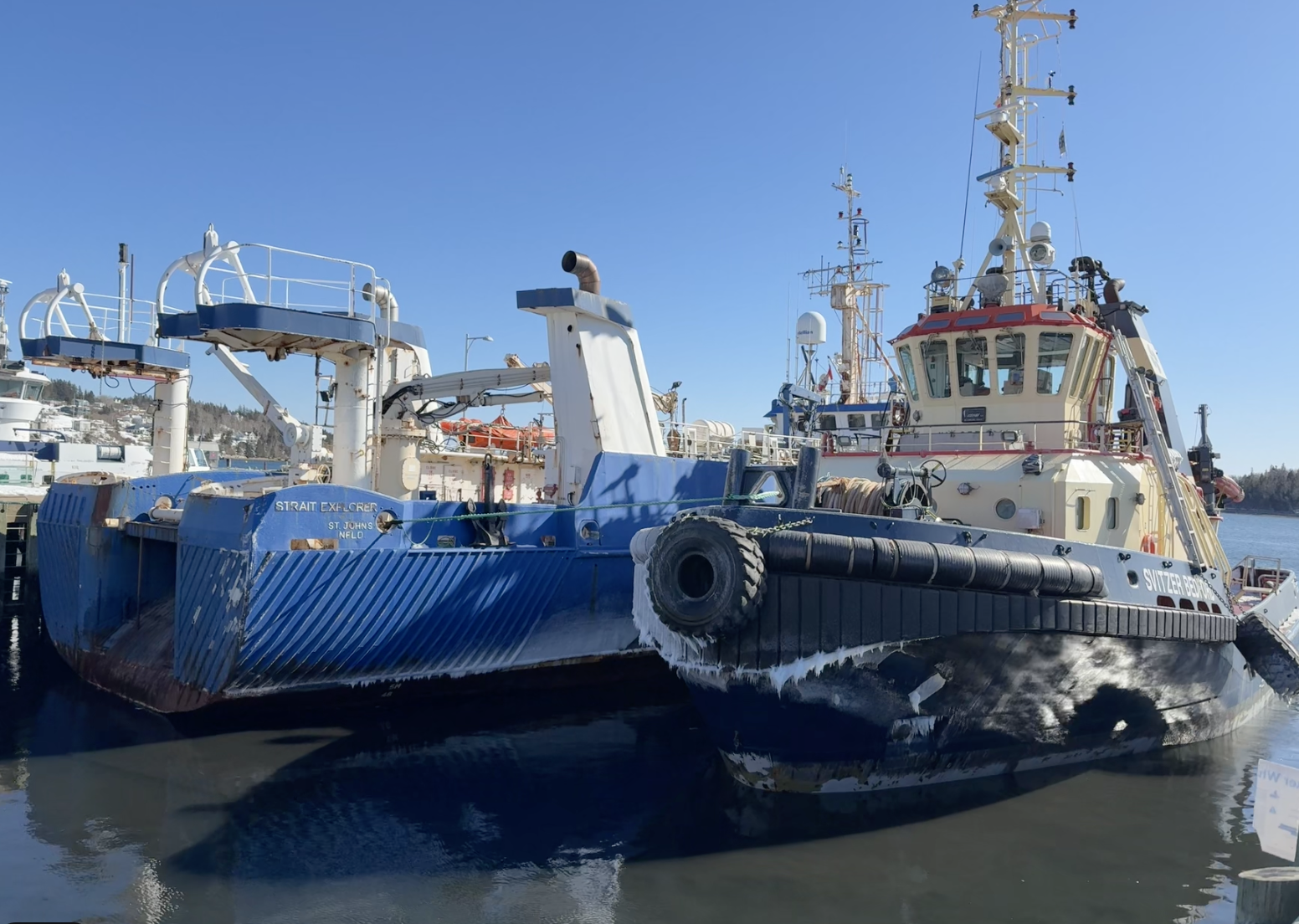 Two tugboats docked side by side in a marina with clear blue sky, one blue and one cream-colored, surrounded by other boats and buildings in the background.