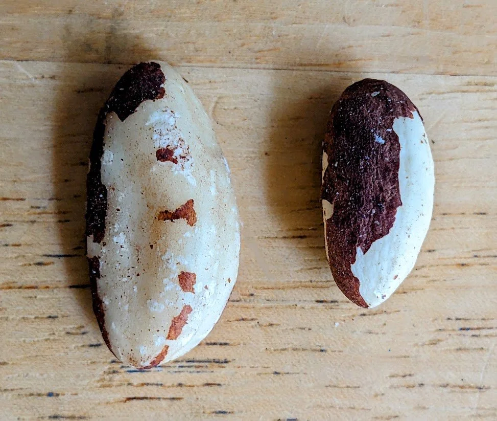 Kirkland Organic Whole Brazil Nuts Review Ingredients Price Servings — SnarkleSauce on Wry