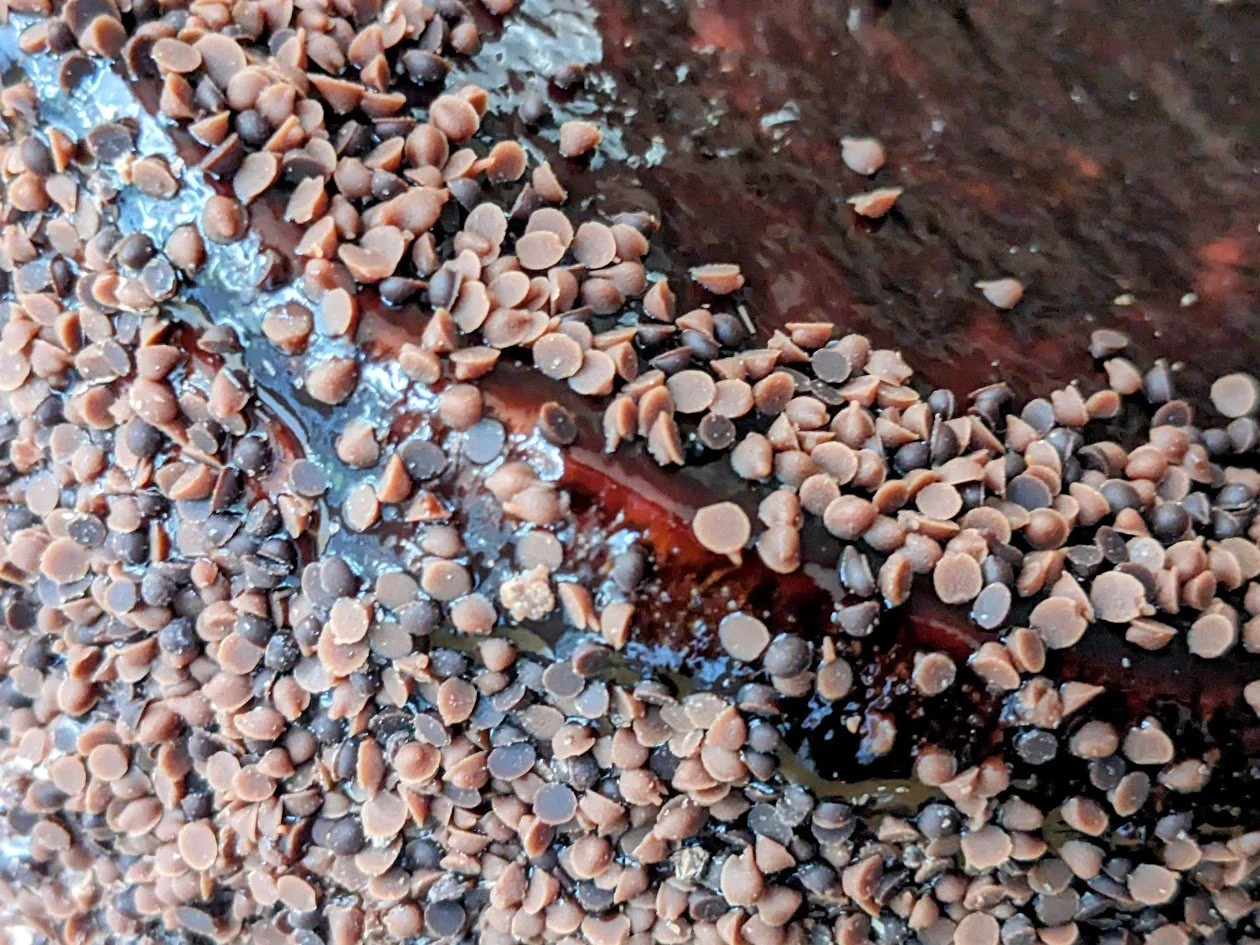 Aldi Triple Chocolate Mousse Cake (Specially Selected) Review