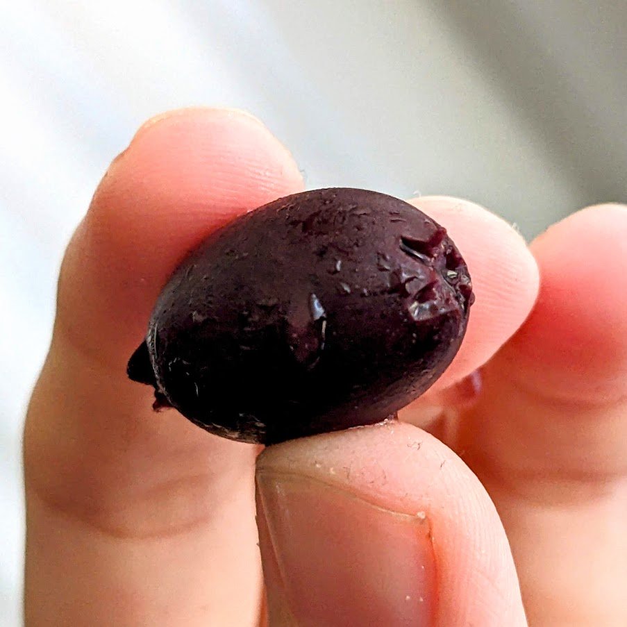 Aldi Kalamata Olives (Specially Selected) Review Ingredients Price
