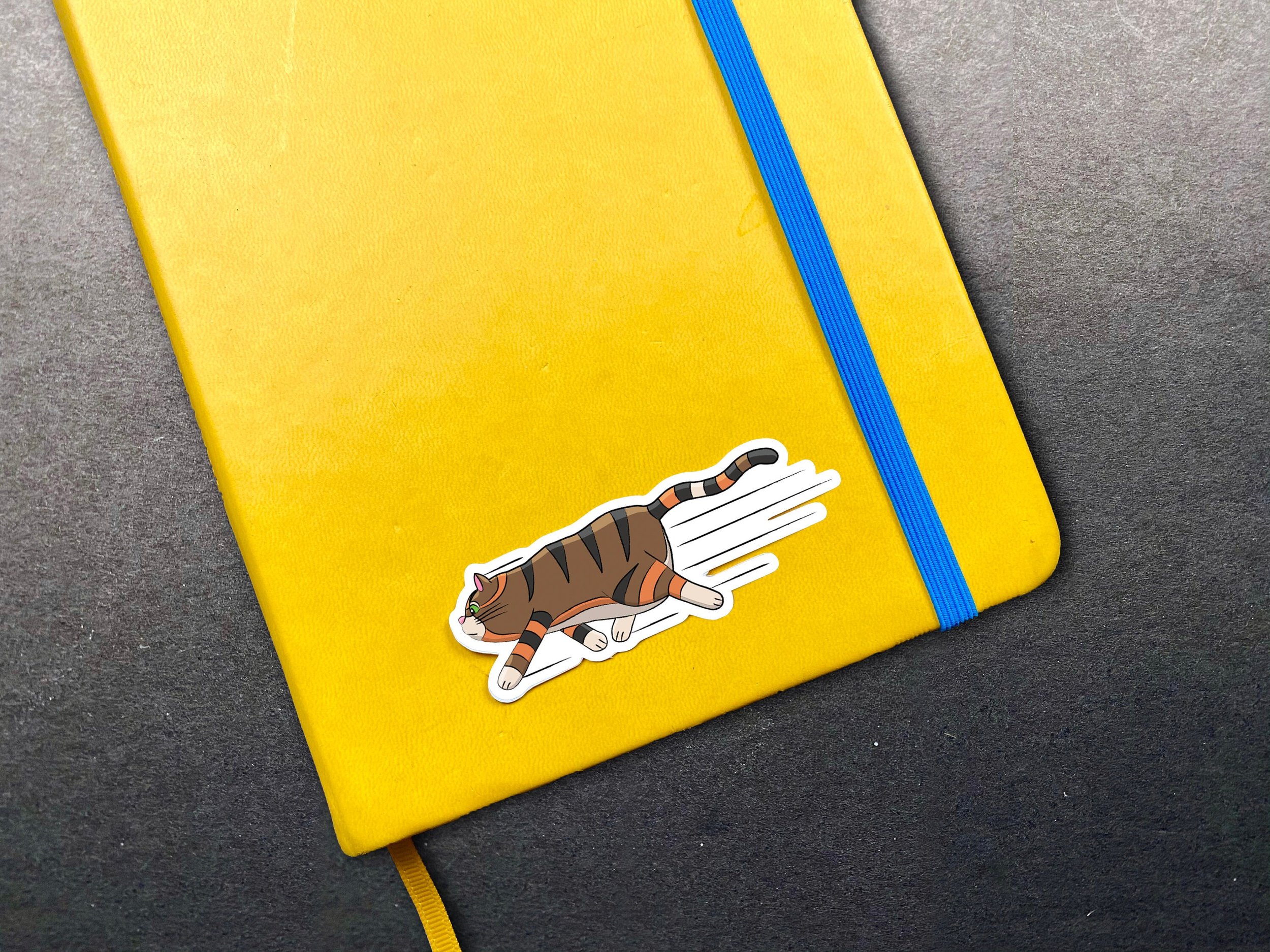 https://i.etsystatic.com/22523955/r/il/b0d80f/2418547761/il_fullxfull.2418547761_o6hv.jpg
