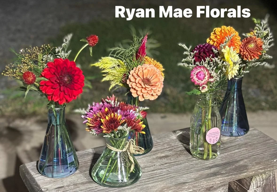 Mini Designs - Sept 2025.jpeg