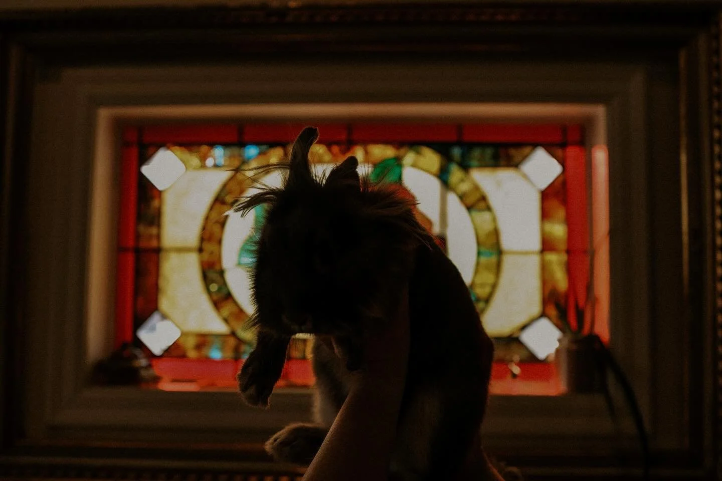 🌑🎃

 &ldquo;𝑇ℎ𝑒 𝑚𝑜𝑜𝑛 ℎ𝑎𝑠 𝑎𝑤𝑜𝑘𝑒𝑛 𝑤𝑖𝑡ℎ 𝑡ℎ𝑒 𝑠𝑙𝑒𝑒𝑝 𝑜𝑓 𝑡ℎ𝑒 𝑠𝑢𝑛, 𝑡ℎ𝑒 𝑙𝑖𝑔ℎ𝑡 ℎ𝑎𝑠 𝑏𝑒𝑒𝑛 𝑏𝑟𝑜𝑘𝑒𝑛; 𝑡ℎ𝑒 𝑠𝑝𝑒𝑙𝑙 ℎ𝑎𝑠 𝑏𝑒𝑔𝑢𝑛.&rdquo; &mdash;𝑀𝑖𝑑𝑔𝑎𝑟𝑑 𝑀𝑜𝑟𝑛𝑖𝑛𝑔𝑠𝑡𝑎𝑟 

🕯️ℍ𝕒𝕡𝕡𝕪 ℍ𝕒𝕝𝕝𝕠𝕨