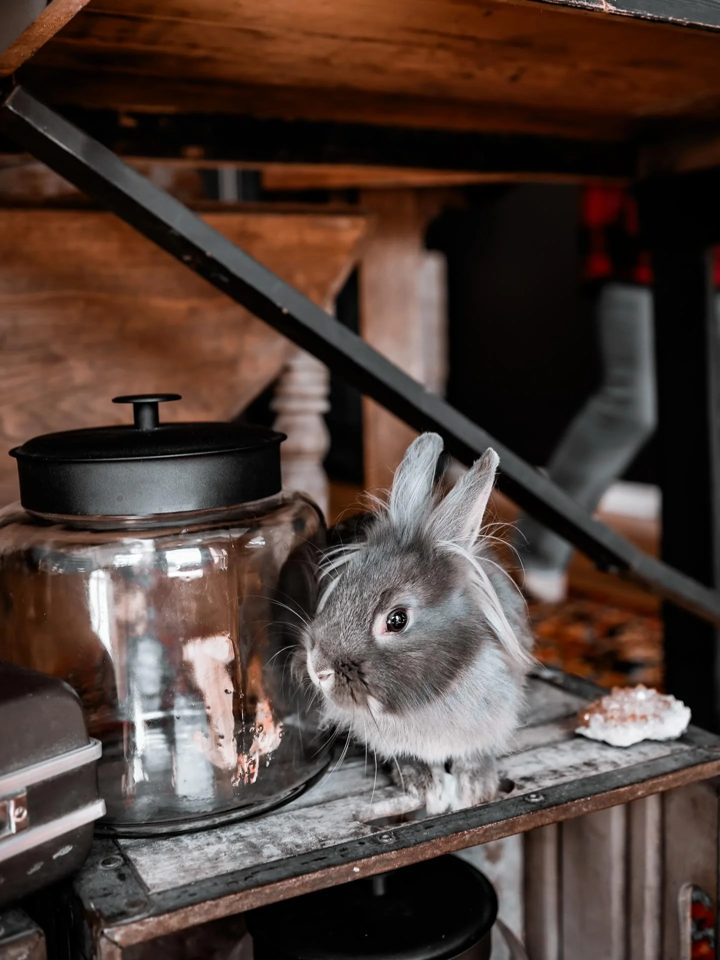 We&rsquo;re hopping into the busy weekend! 🐇 

🖤Black Friday Deals: 50% all remaining Fall products + Vintage pieces - today only! 10a-4p

💙Gin &amp; I will see you tomorrow for Small Business Saturday here in @uni_creativedistrict 10a-2p First 9 