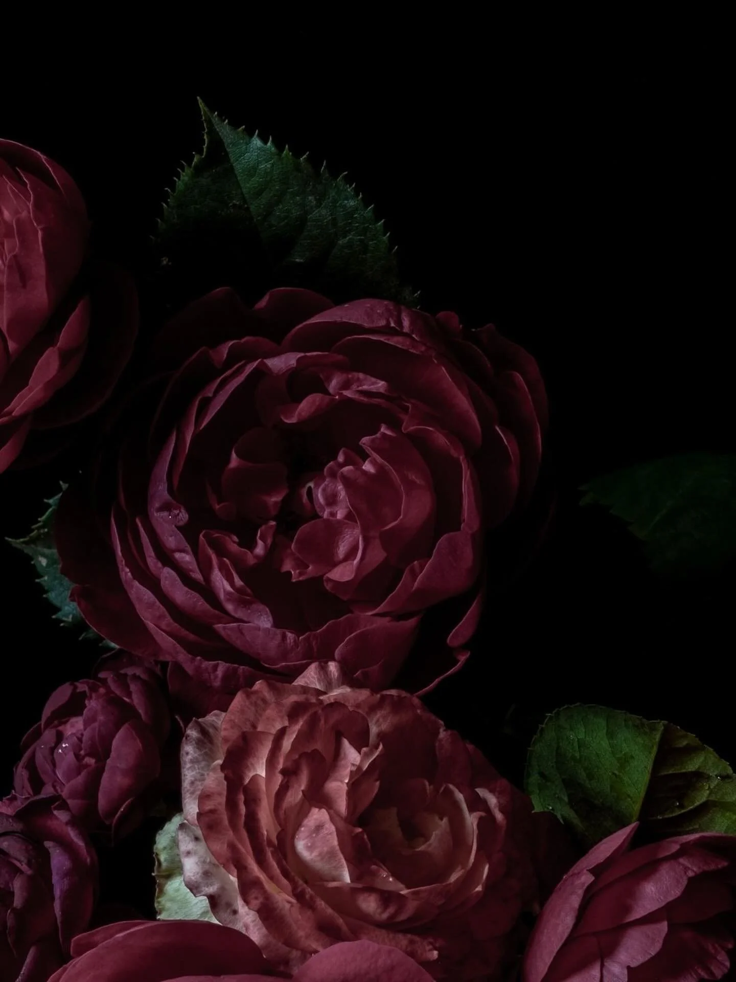 🥀

A good fragrance is like a good mood - it&rsquo;s instantly uplifting✨