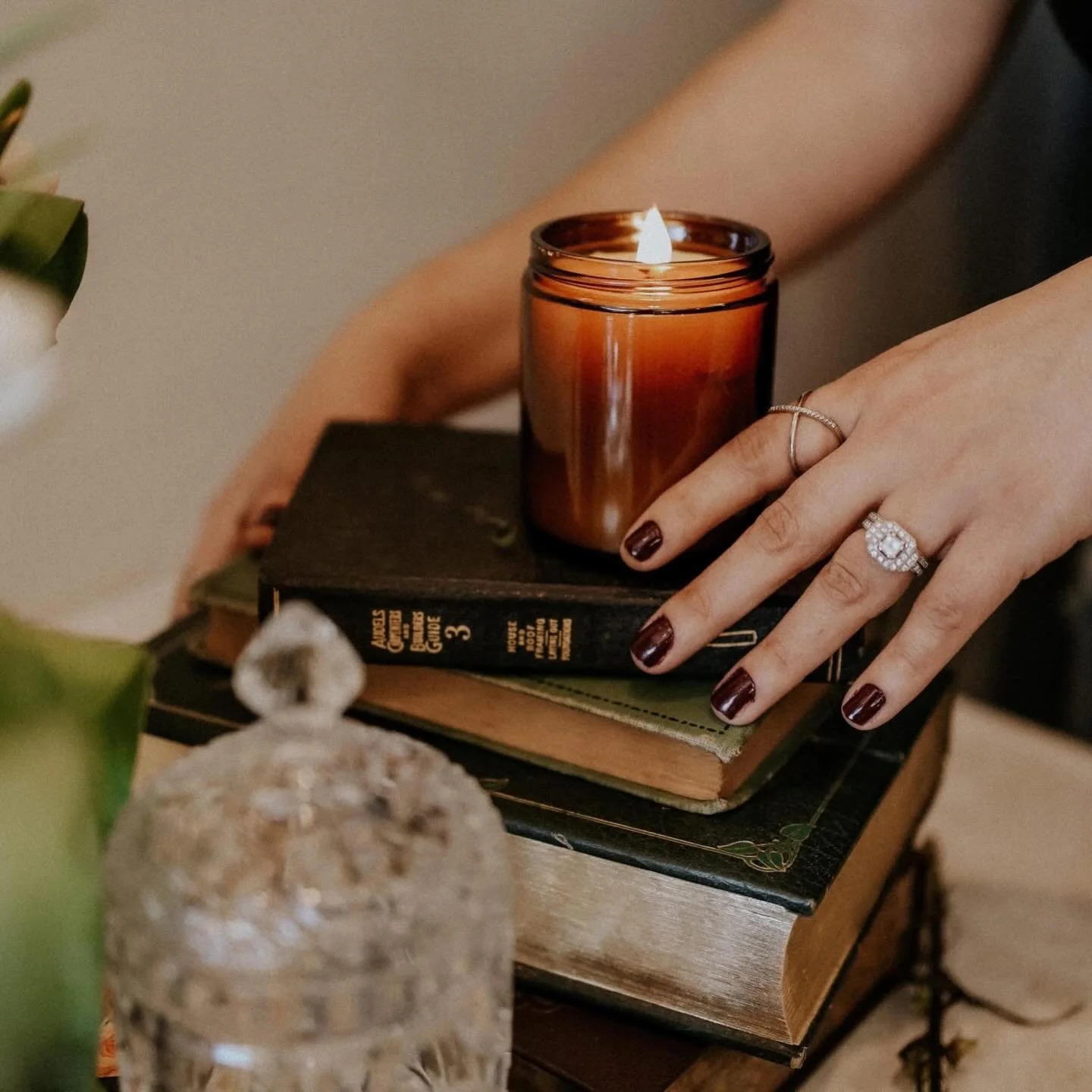 💌 𝚁𝚒𝚐𝚑𝚝 𝚊𝚛𝚘𝚞𝚗𝚍 𝚝𝚑𝚎 𝚌𝚘𝚛𝚗𝚎𝚛&hellip;!

𝓕𝓮𝓫𝓻𝓾𝓪𝓻𝔂 𝓒𝓸𝓵𝓵𝓮𝓬𝓽𝓲𝓸𝓷:

🔖𝙴𝚏𝚏𝚎𝚛𝚟𝚎𝚜𝚌𝚎𝚗𝚝: 𝚛𝚊𝚜𝚙𝚋𝚎𝚛𝚛𝚒𝚎𝚜 // 𝚜𝚙𝚊𝚛𝚔𝚕𝚒𝚗𝚐 𝚌𝚑𝚊𝚖𝚙𝚊𝚐𝚗𝚎 // 𝚙𝚎𝚊𝚌𝚑
🔖𝙳𝚞𝚜𝚔: 𝚌𝚒𝚗𝚍𝚎𝚛 // 𝚟𝚊𝚗𝚒𝚕𝚕𝚊 // ?