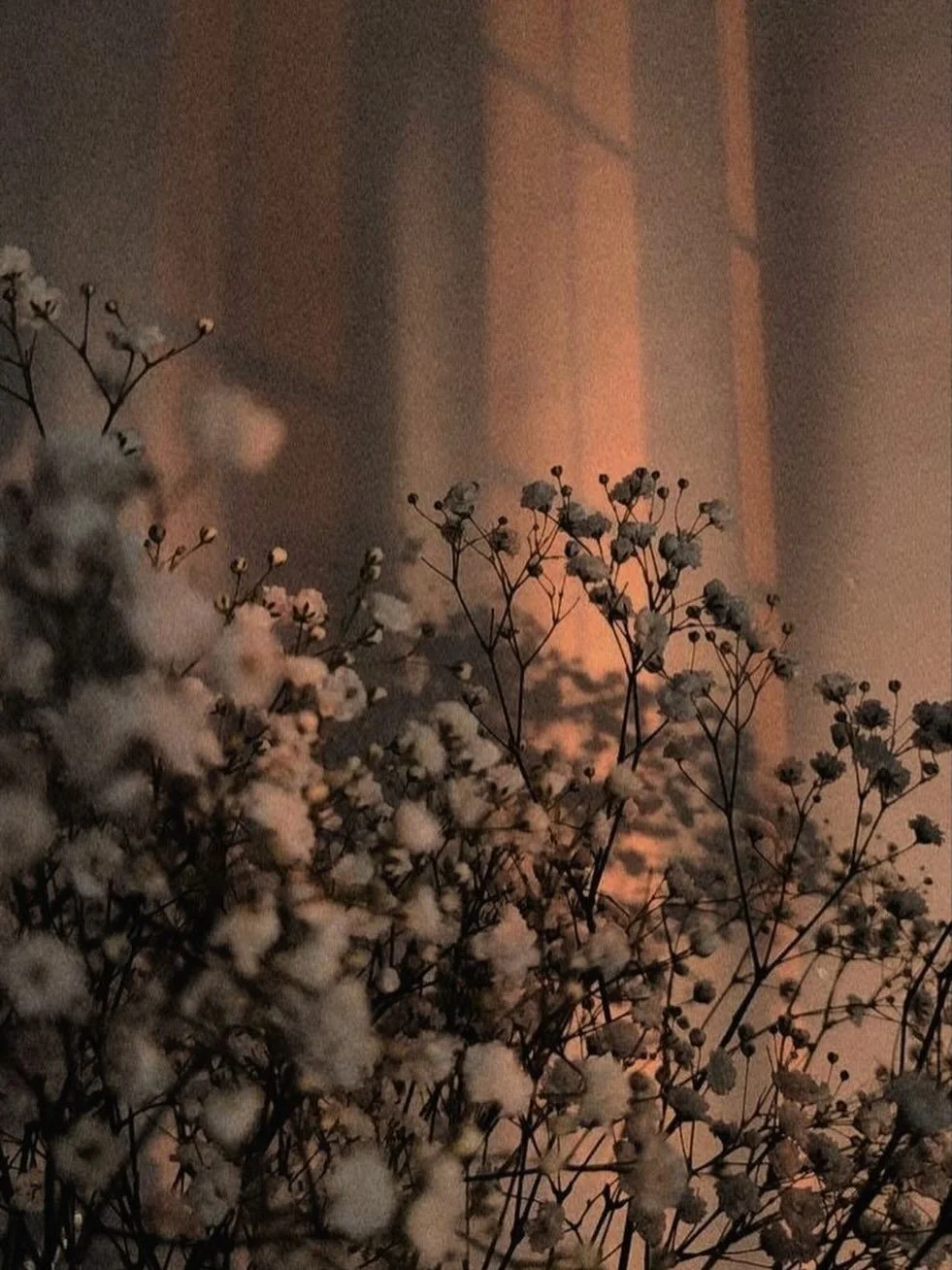 &ldquo;𝑌𝑜𝑢 𝑐𝑎𝑛&rsquo;𝑡 𝑏𝑢𝑦 ℎ𝑎𝑝𝑝𝑖𝑛𝑒𝑠𝑠, 𝑏𝑢𝑡 𝑦𝑜𝑢 𝑐𝑎𝑛 𝑏𝑢𝑦 𝑎 𝑝𝑒𝑟𝑓𝑢𝑚𝑒, 𝑎𝑛𝑑 𝑡ℎ𝑎𝑡&rsquo;𝑠 𝑝𝑟𝑒𝑡𝑡𝑦 𝑐𝑙𝑜𝑠𝑒.&rdquo; - 𝒜𝓉𝓉𝒶𝓇 ℋ𝒶𝓋ℯ𝓃 🌸