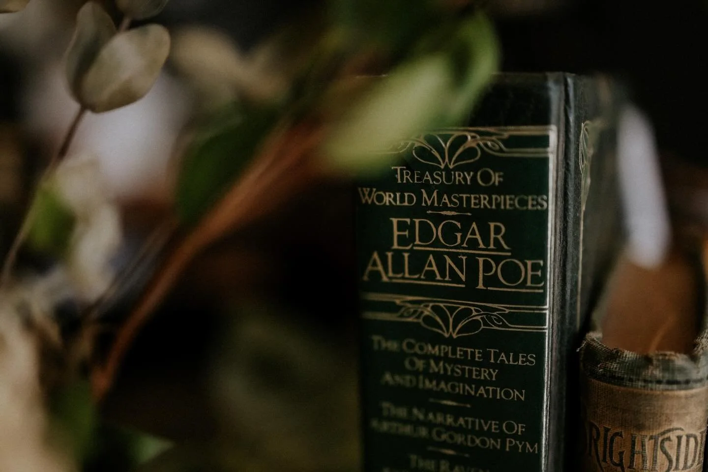 💚🌿🕯️ 

You can choose only one! ⤵️

Spring
Summer
Fall
Winter

🔖Let us know!