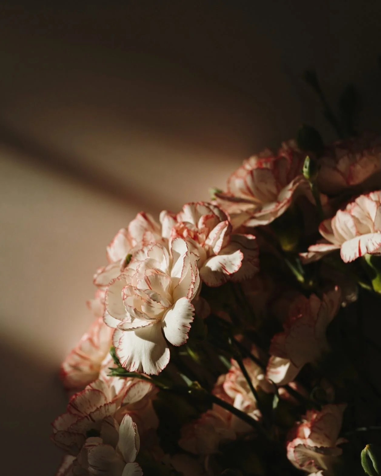 🌸

𝑁𝑜𝑡 𝑗𝑢𝑠𝑡 𝑎 𝑓𝑟𝑎𝑔𝑟𝑎𝑛𝑐𝑒 - 𝑎 𝑠𝑖𝑔𝑛𝑎𝑡𝑢𝑟𝑒.

#fragrance 
#maker
#wednesdaywisdom
#perfume
#lnknebraska