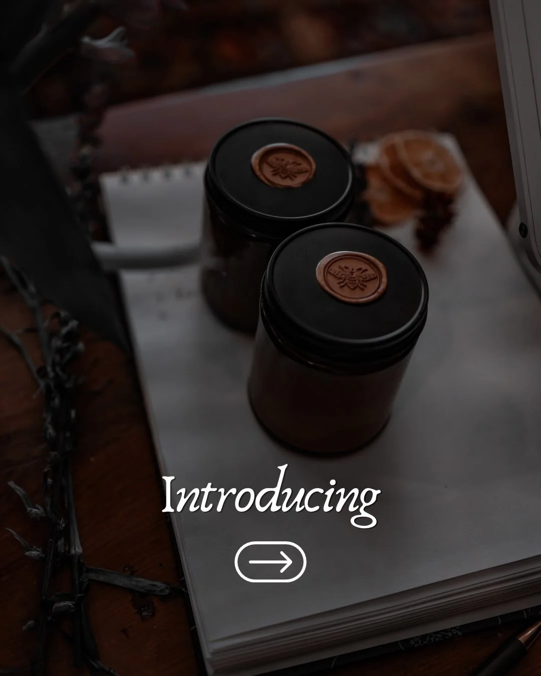 🕯️🖤🪄 

You&rsquo;ve been asking + 𝒻𝒾𝓃𝒶𝓁𝓁𝓎 we have a new subscription option! Our 𝔸𝕝𝕔𝕙𝕖𝕞𝕪 ℂ𝕒𝕟𝕕𝕝𝕖 𝕊𝕦𝕓𝕤𝕔𝕣𝕚𝕡𝕥𝕚𝕠𝕟 includes ✌️9oz candles per month! 💫

Includes 𝙵𝚁𝙴𝙴 shipping! 📦 

*Cancel or pause subscription anytim