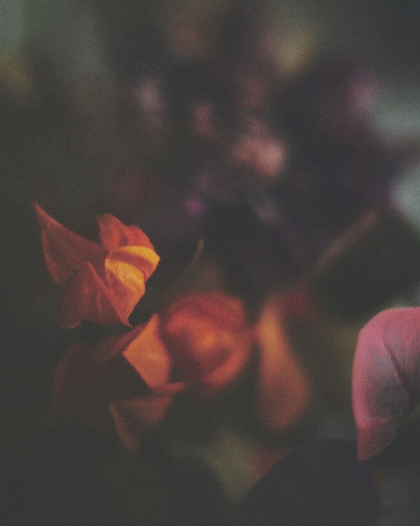 𝚂𝚎𝚙𝚝𝚎𝚖𝚋𝚎𝚛 𝚜𝚖𝚎𝚕𝚕𝚜 𝚕𝚒𝚔𝚎 𝚌𝚊𝚗𝚍𝚕𝚎𝚕𝚒𝚐𝚑𝚝, 𝚠𝚊𝚛𝚖 𝚍𝚛𝚒𝚗𝚔𝚜, 𝚏𝚊𝚕𝚕𝚒𝚗𝚐 𝚕𝚎𝚊𝚟𝚎𝚜 + 𝚝𝚑𝚎 𝚖𝚊𝚐𝚒𝚌 𝚘𝚏 𝚗𝚎𝚠 𝚋𝚎𝚐𝚒𝚗𝚗𝚒𝚗𝚐𝚜&hellip;🕯️