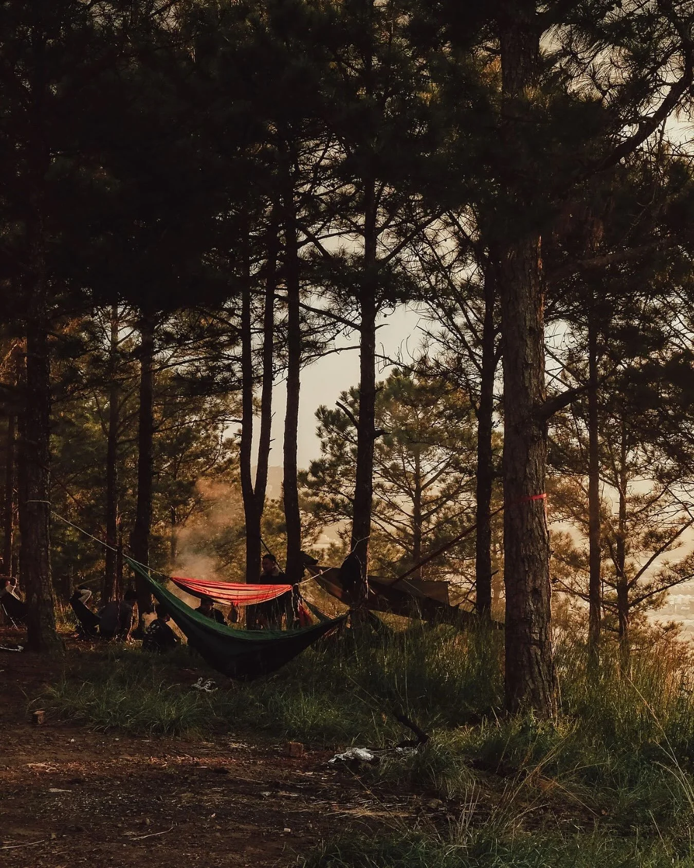 🌲 𝑆𝑐𝑒𝑛𝑡 𝑀𝑒𝑚𝑜𝑟𝑦 🌲

Have you ever smelled something that transported you back in time to a specific moment or memory? Whether it&rsquo;s the scent of a loved one, the smells of nature, freshly baked cookies, your favorite perfume, or the s