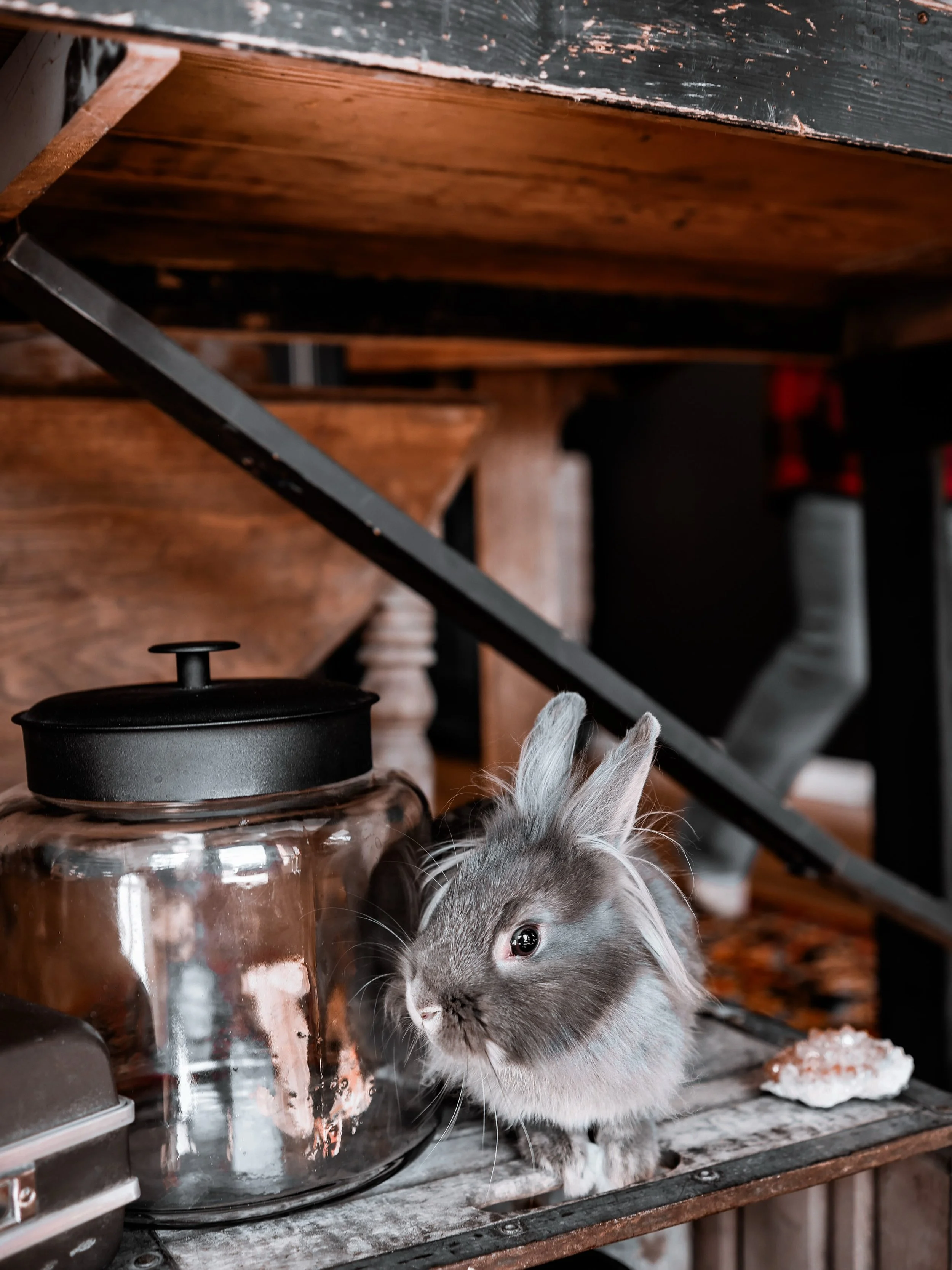 🐇𝙶𝚒𝚗 𝚠𝚘𝚞𝚕𝚍 𝚕𝚒𝚔𝚎 𝚝𝚘 𝚛𝚎𝚖𝚒𝚗𝚍 𝚢𝚘𝚞 𝚠𝚎 𝚑𝚊𝚟𝚎 𝚘𝚗𝚎 𝚎𝚟𝚎𝚗𝚝 𝚛𝚎𝚖𝚊𝚒𝚗𝚒𝚗𝚐 𝚏𝚘𝚛 𝙾𝚌𝚝𝚘𝚋𝚎𝚛 𝚑𝚎𝚛𝚎 𝚒𝚗-𝚜𝚝𝚘𝚛𝚎:

𝟷𝟶/𝟹𝟶 𝚃𝙷𝙸𝚂 𝙵𝚁𝙸𝙳𝙰𝚈: 𝟹-𝟼𝚙𝚖 𝚓𝚘𝚒𝚗 @lluminatedfate 𝚏𝚘𝚛 𝚃𝚊𝚛𝚘𝚝 𝚛𝚎𝚊𝚍𝚒