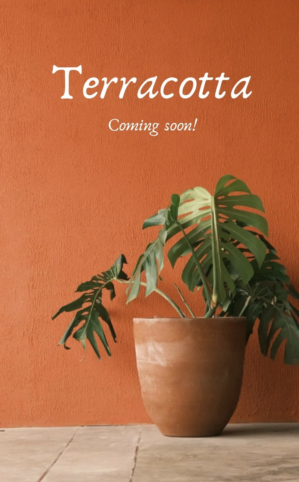 Terracotta | NEW scent coming soon!