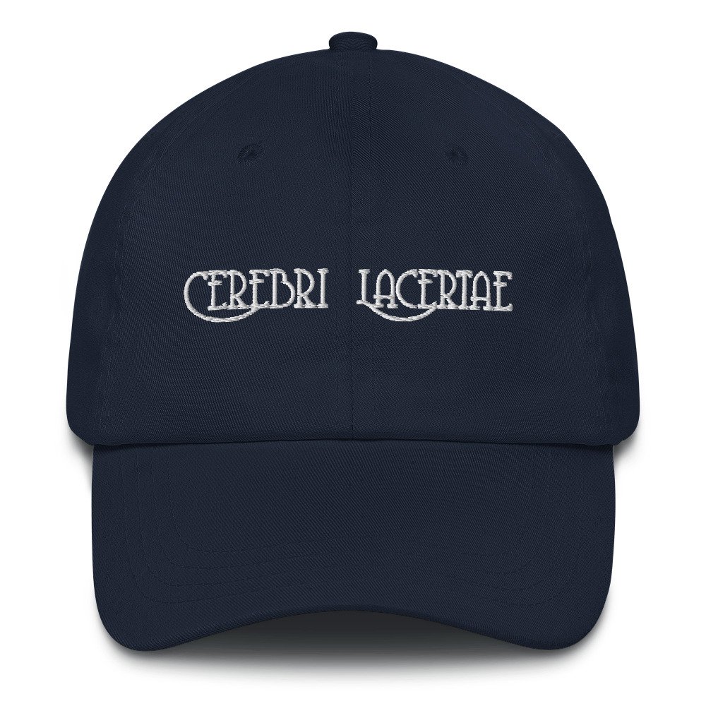 classic-dad-hat-navy-front-6514b79f35dfc.jpg