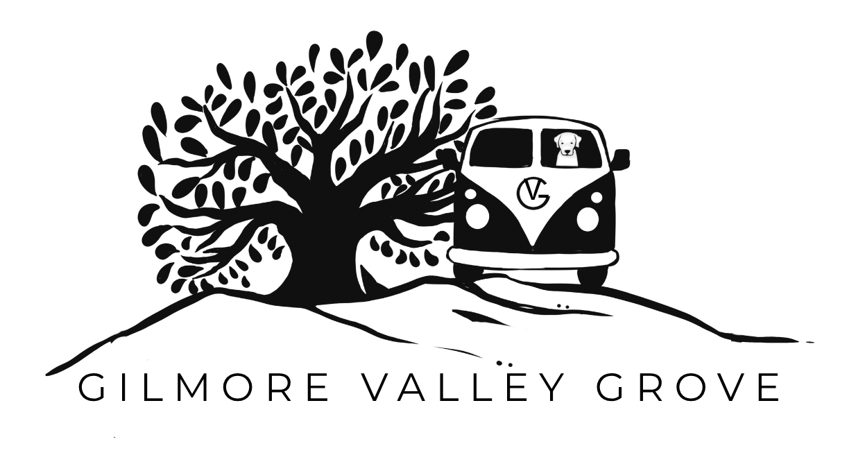 Gilmore Valley Grove