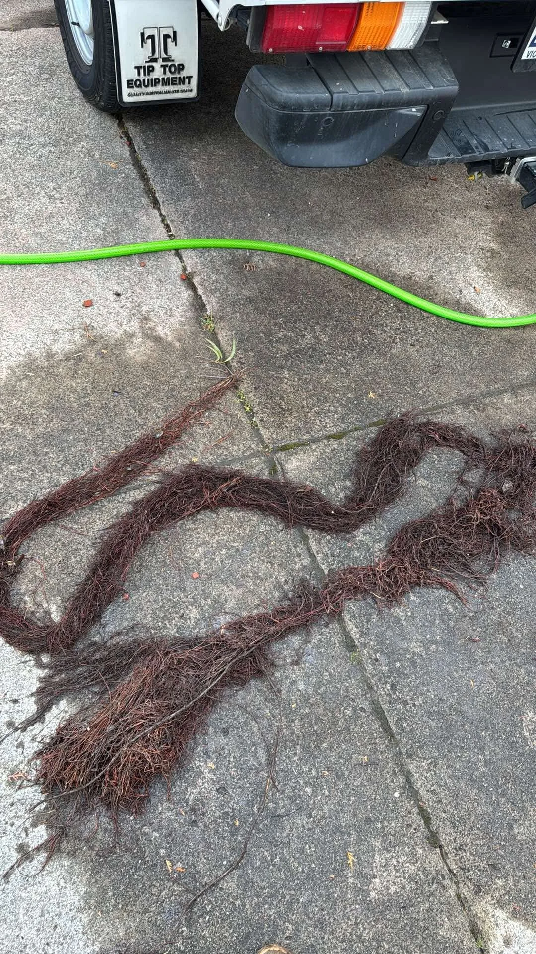 How Tree Roots Damage Stormwater Drains – And How to Fix It!