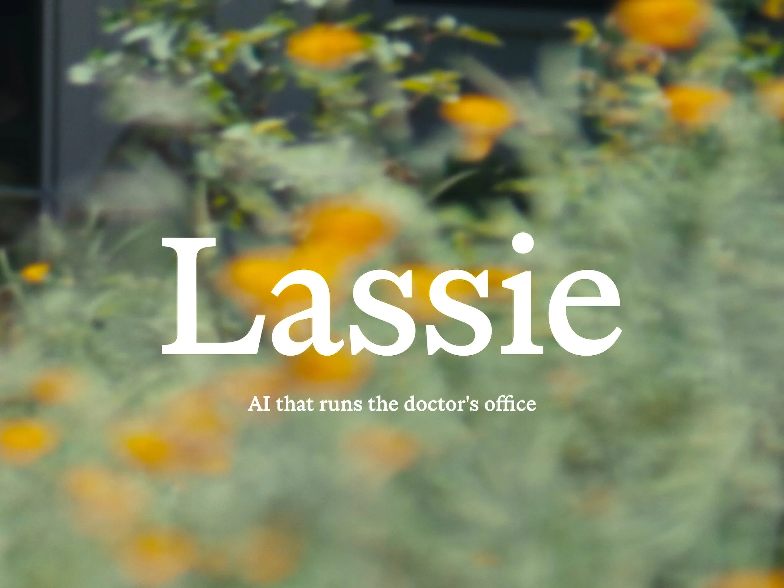 261001_Lassie_1.1.56.jpg