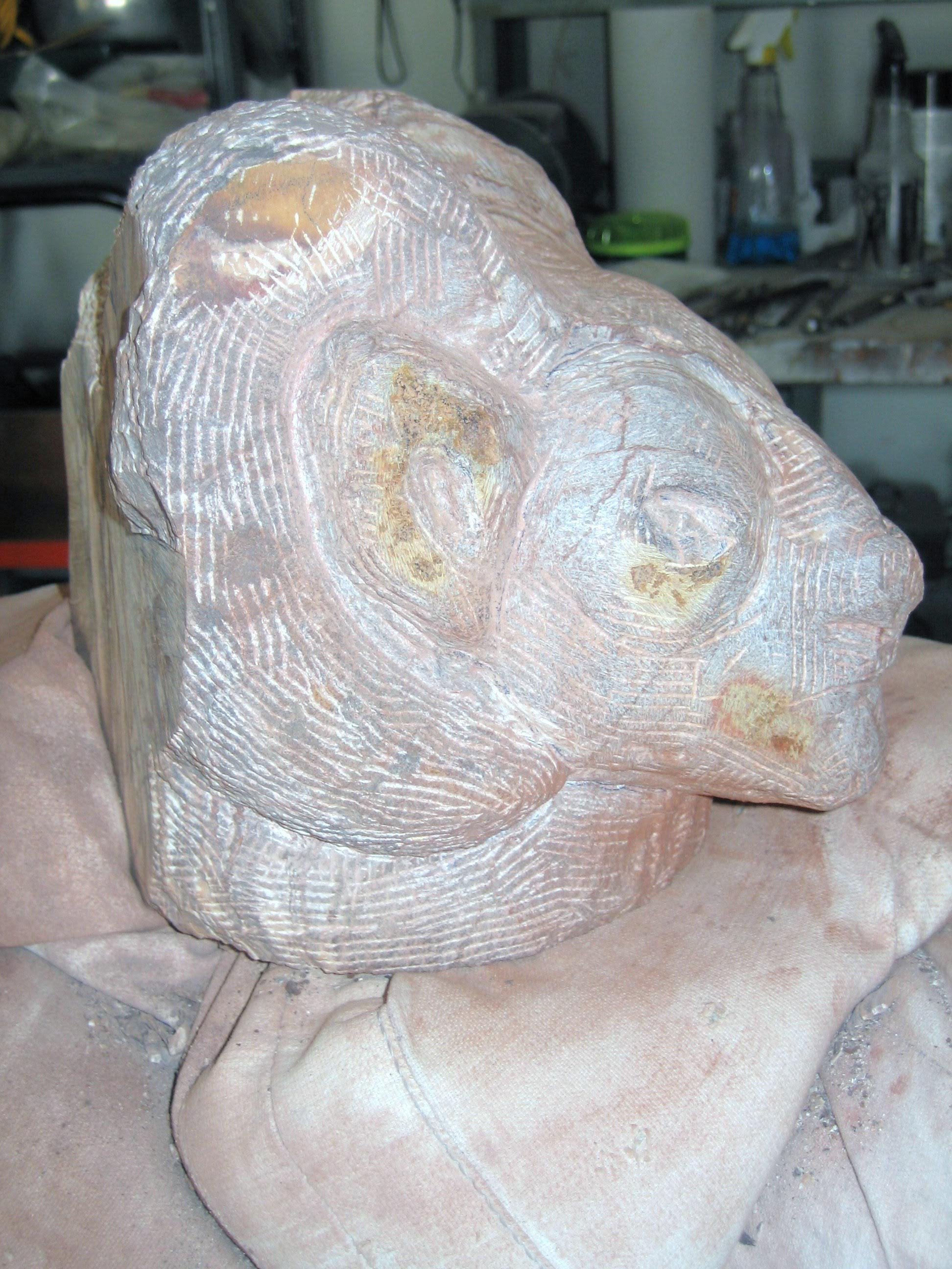 Ram's Head:  Work in Progress