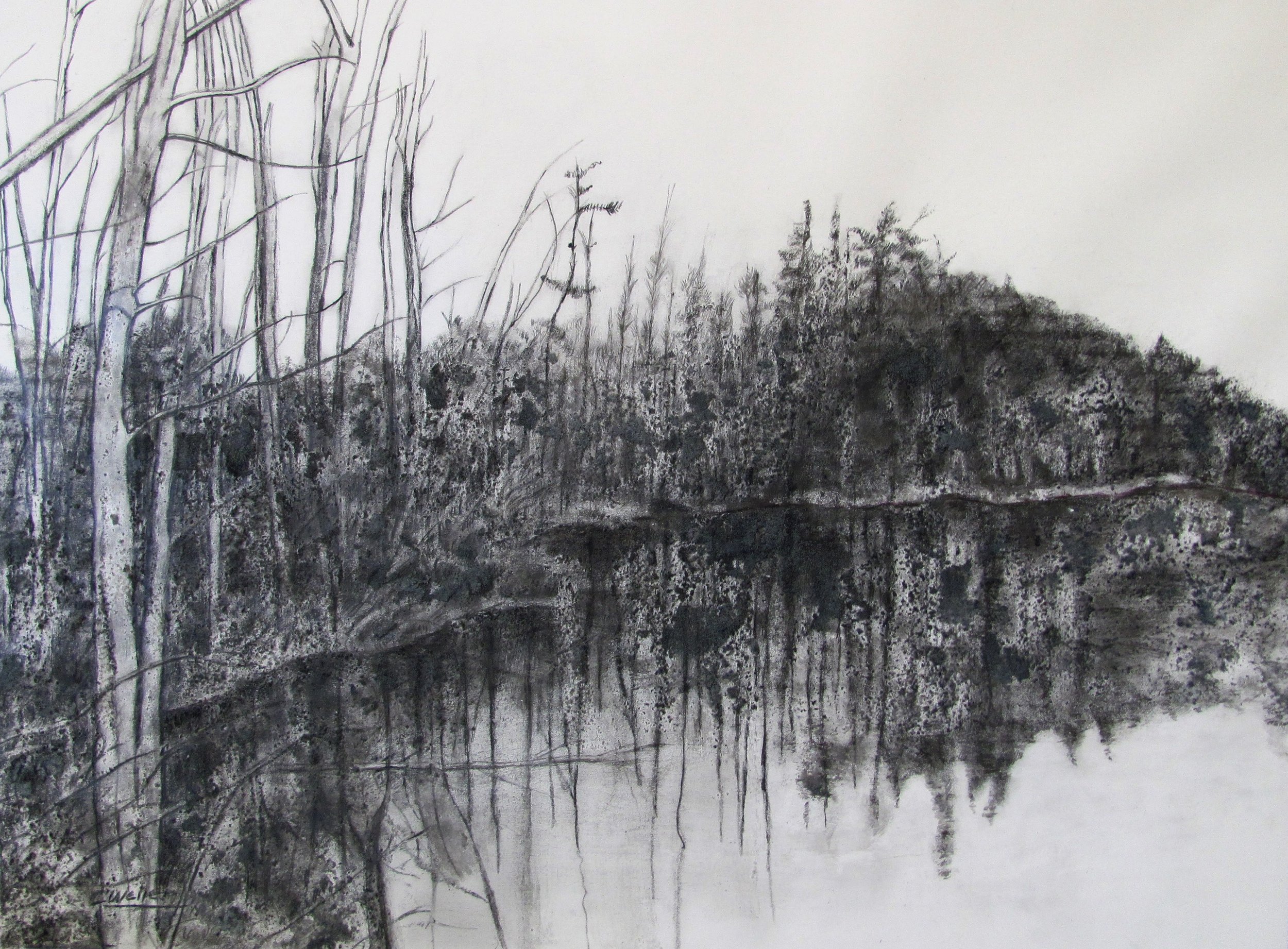 Swamp (2014) Drawings on Paper (18"x 24")