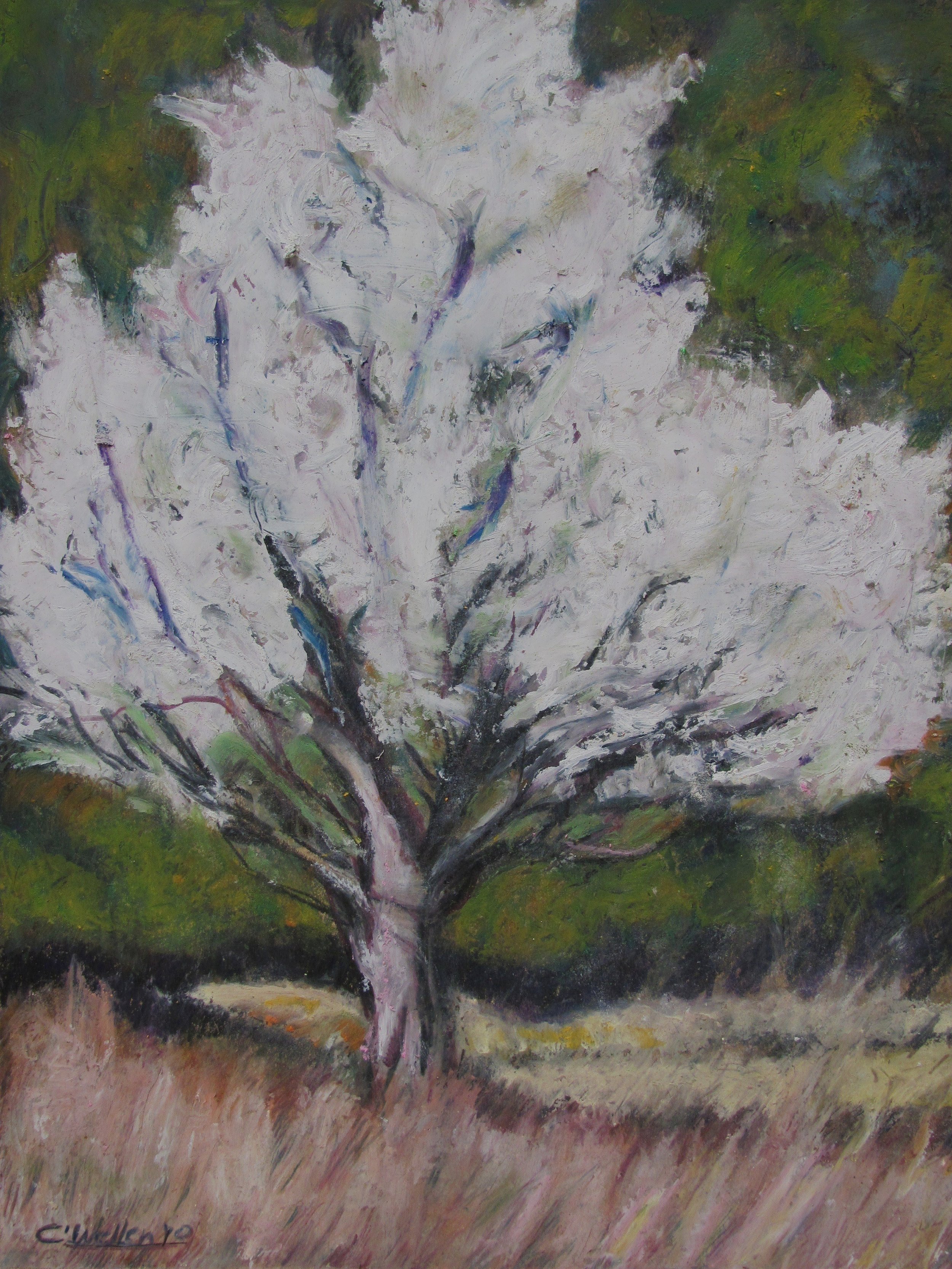 Tree-Cattus Island (2010), Oil Pastel on Board (10" x 8")