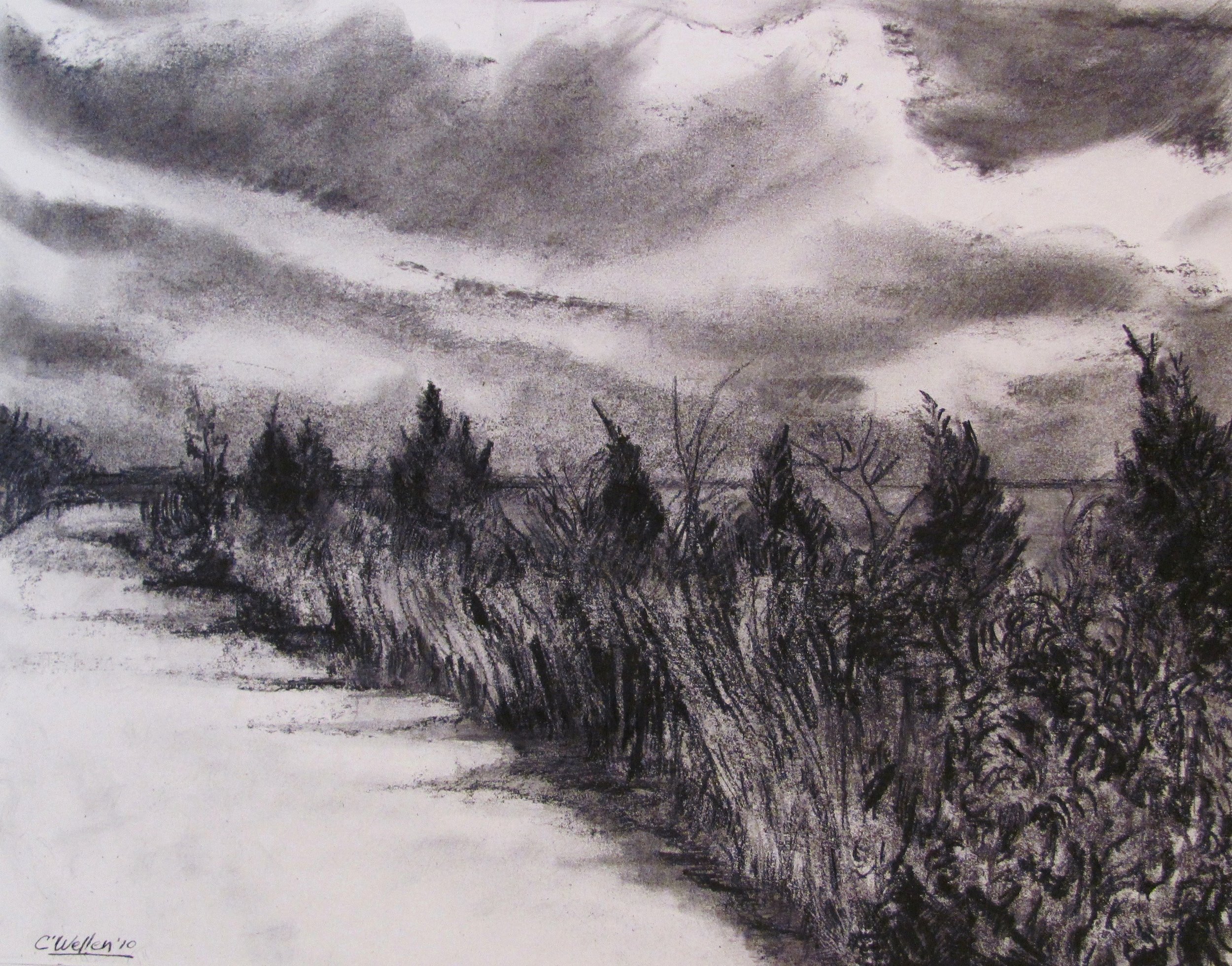 Shelter Cove #3 (2010) Charcoal and Pencil on Board (11" x 14")