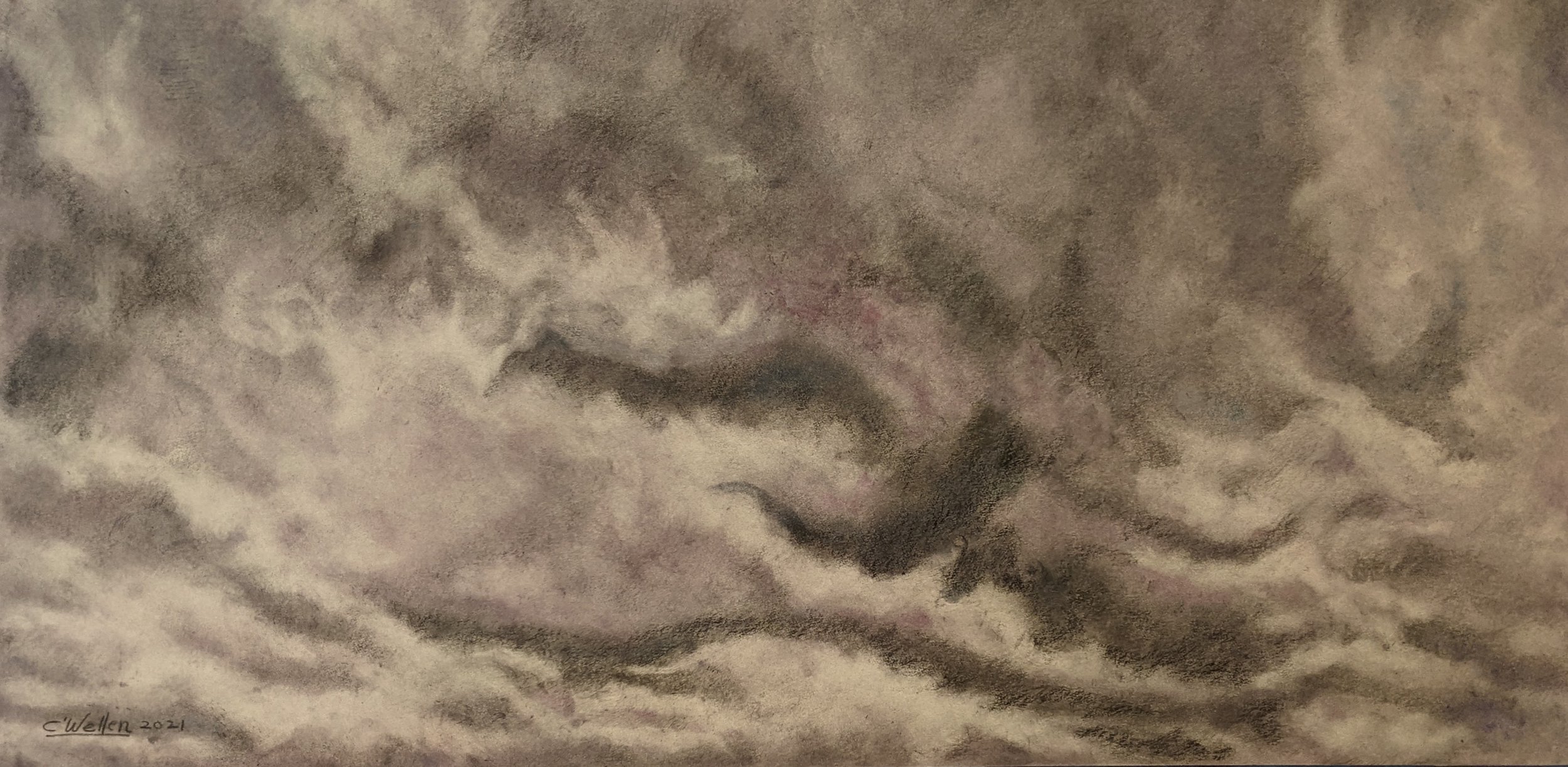 Raspberry Gray Sky (2021) Pencil/Pastel, Image (10" x 20"), Board (20" x 28")