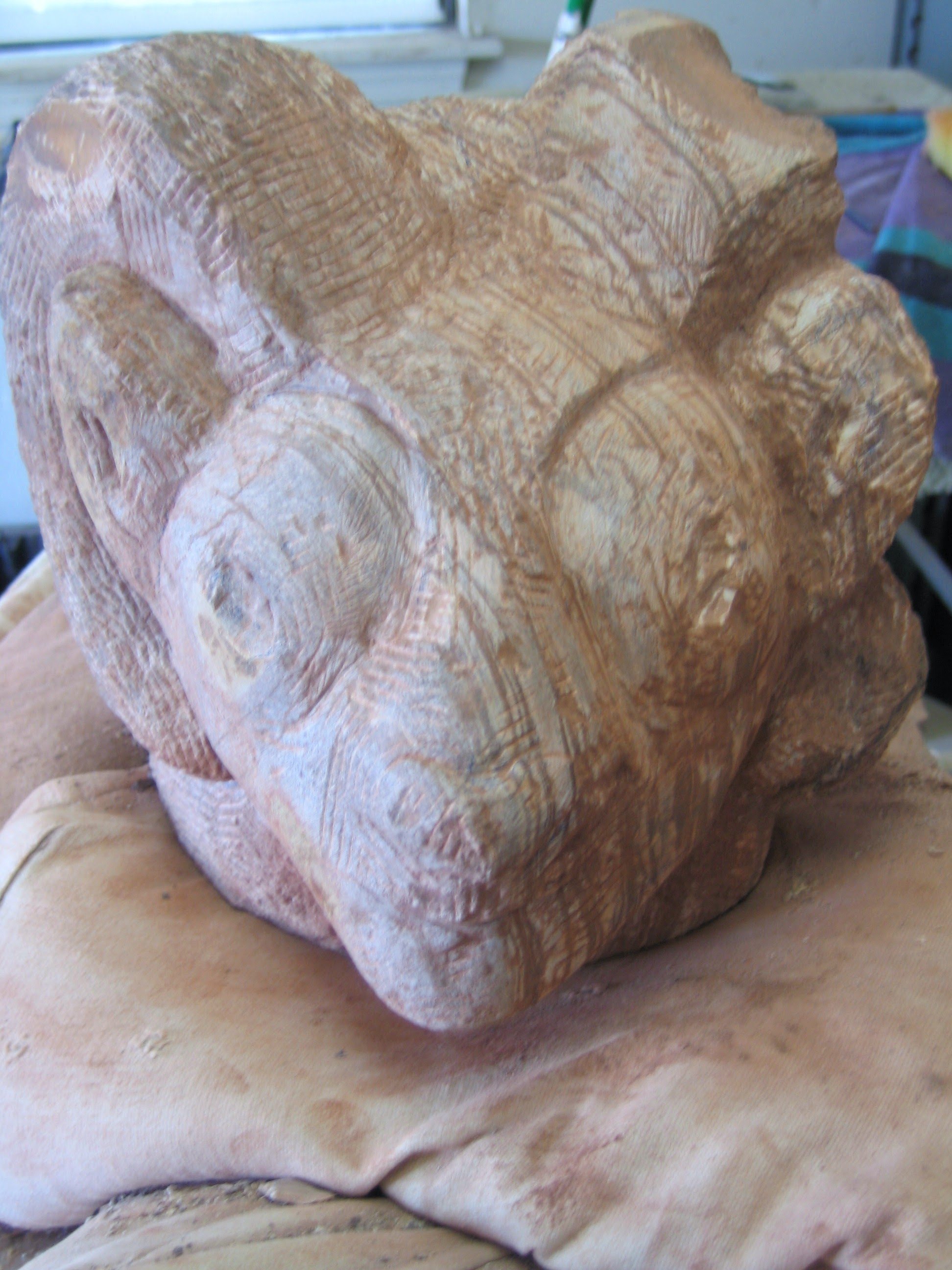 Ram's Head:  Work in Progress
