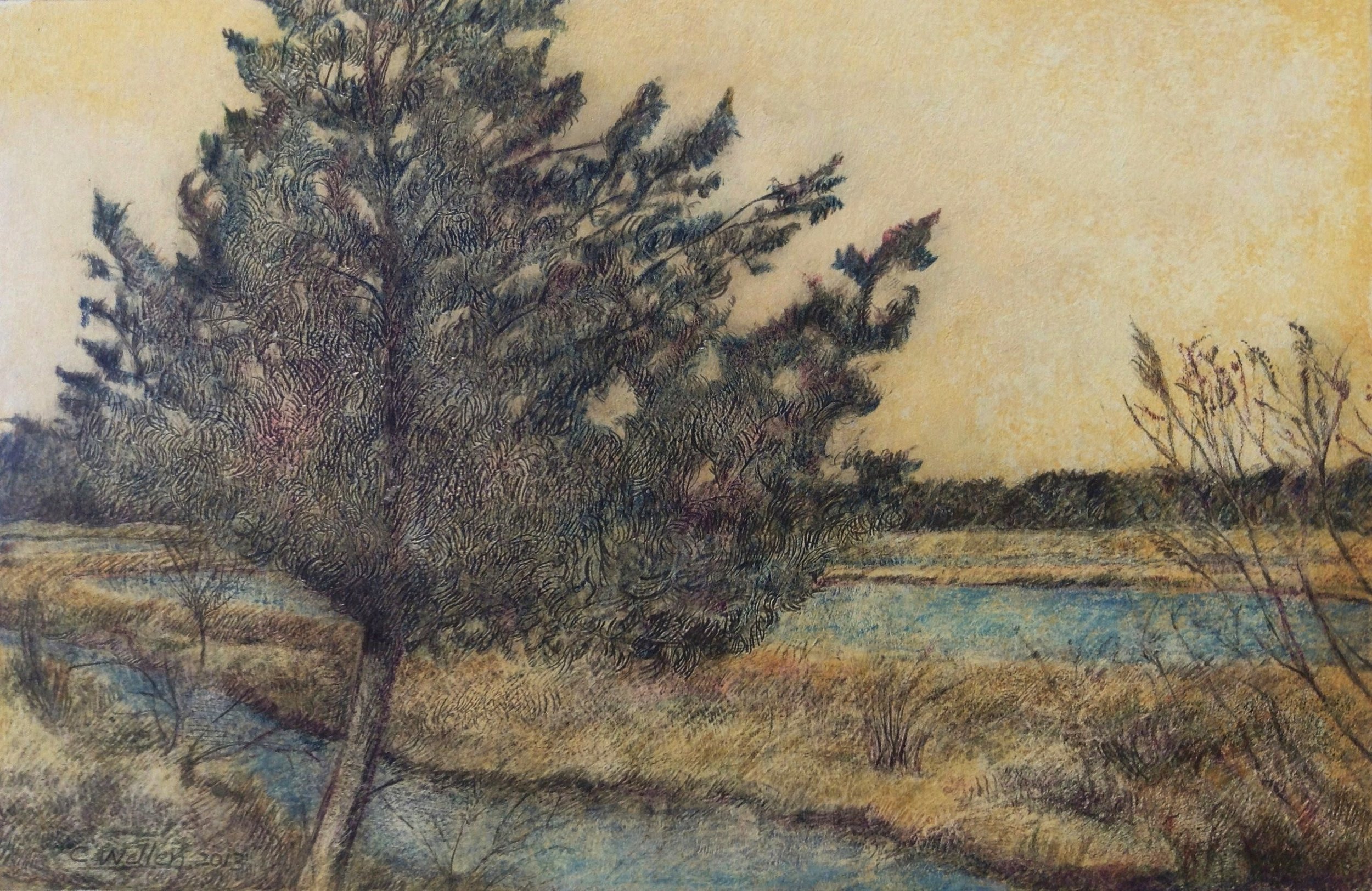 Tree in Tint, Pencil over Acrylic Wash on Board (8" x 12")