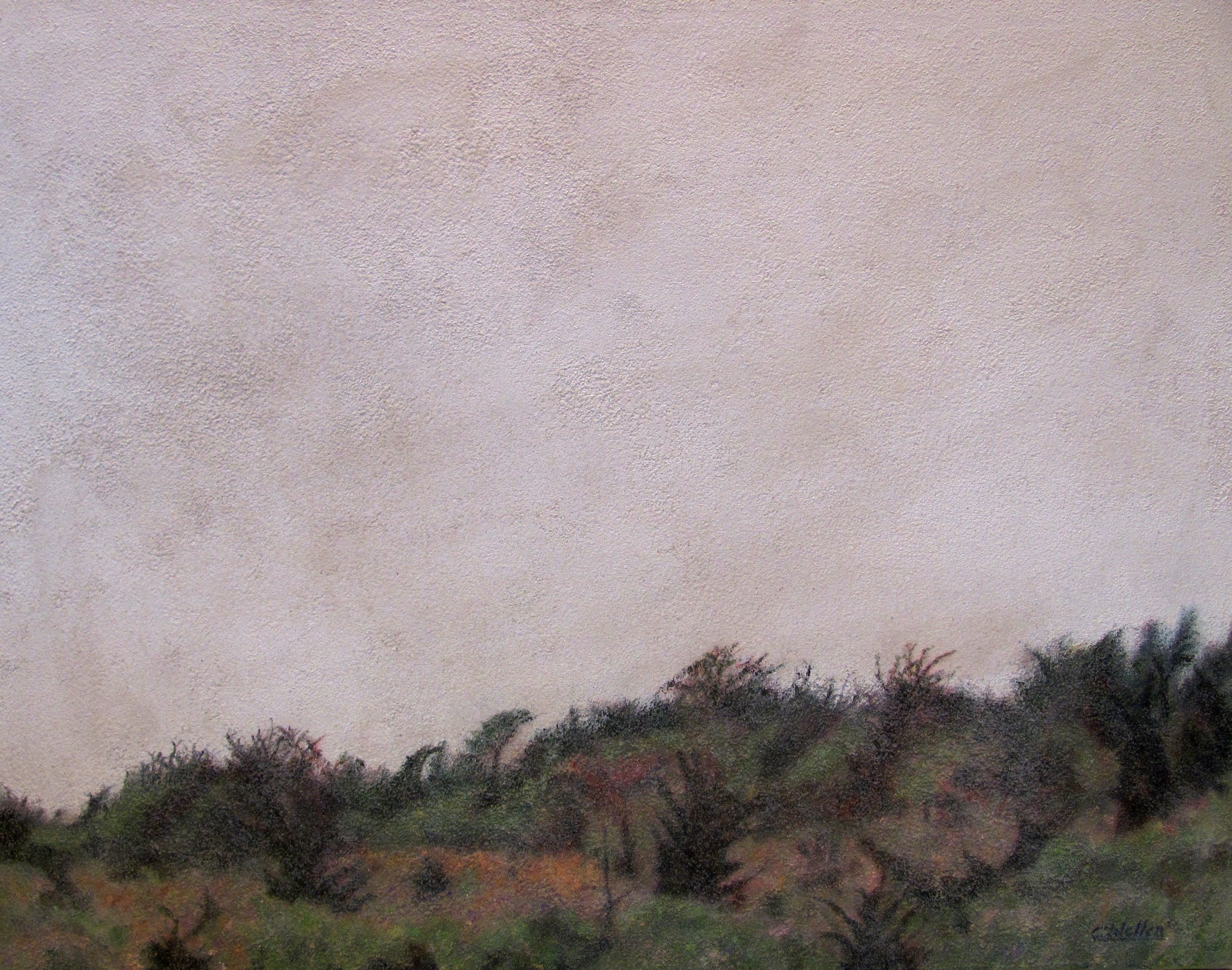 Blanched Light (2014), Acrylic on Canvas (24" x  30")