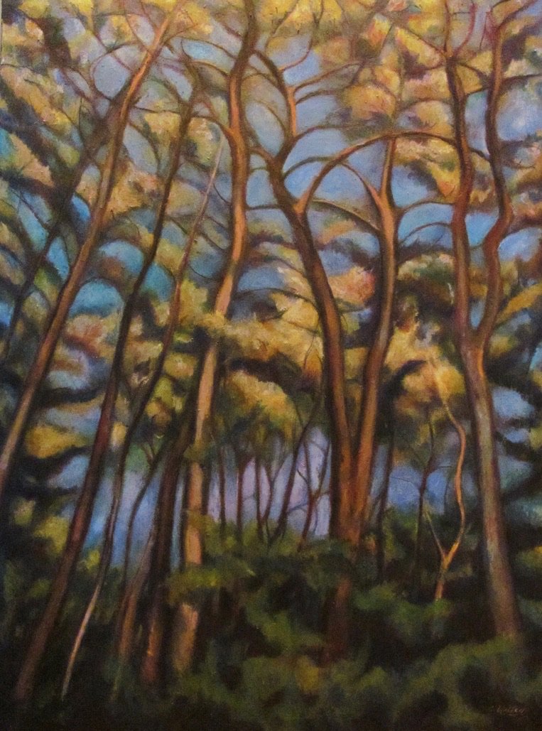 Forest (2011), Acrylic and Oil Pastel on Canvas (36" x  48")

