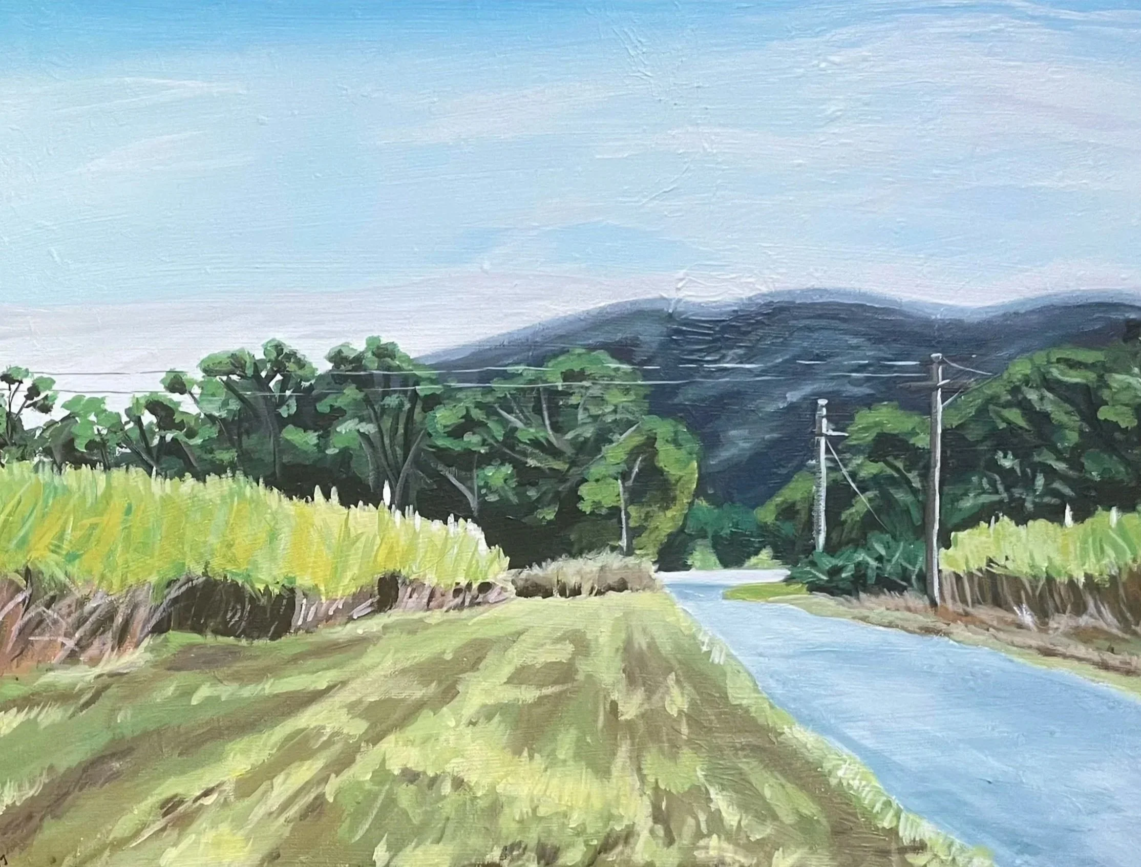 The road ahead, house paint and acrylic on canvas, 48.5 x 64  cm, framed OLD