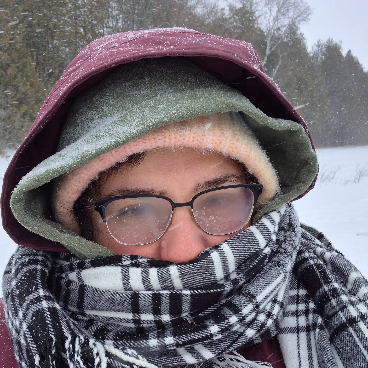 Sometimes we don't dread the thing itself. We dread everything around it.

This week for me it's winter. Not my work with the dogs. I genuinely love being with the dogs. It's the cold, the icy roads, being out in the elements when my body just wants 