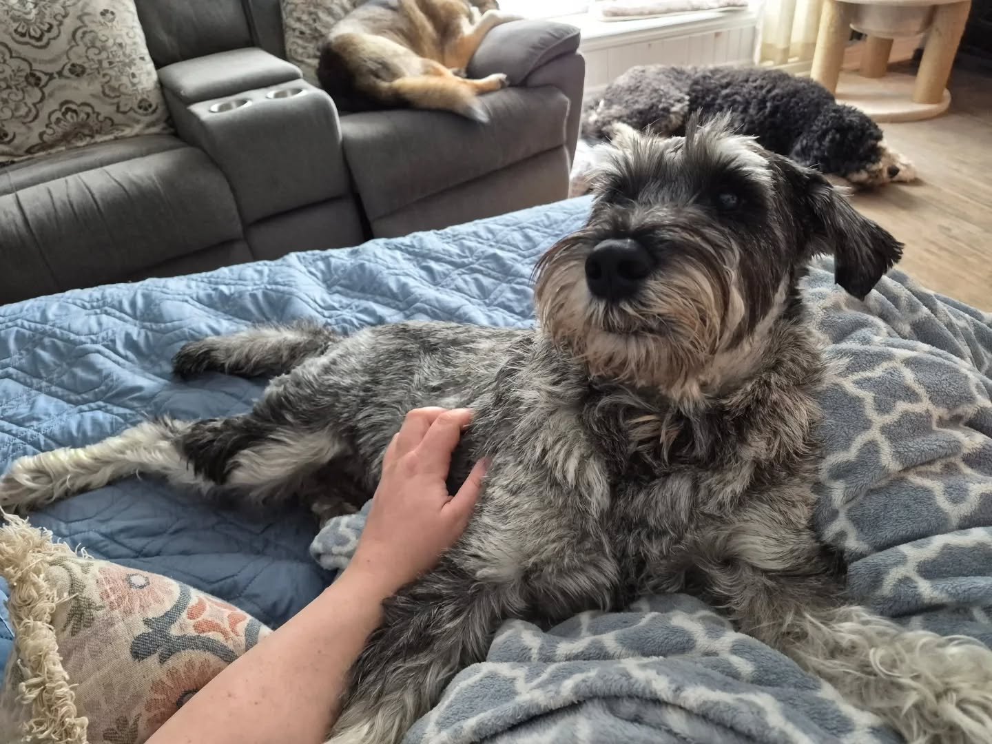 I am gateful it's Friday.

Genuinely, fully, grateful it's Friday.

This week was a lot. I have been tired and a little low and honestly just ready for it to be over. And now it is.

This weekend I am planning couch time, pyjamas, and as much quiet a