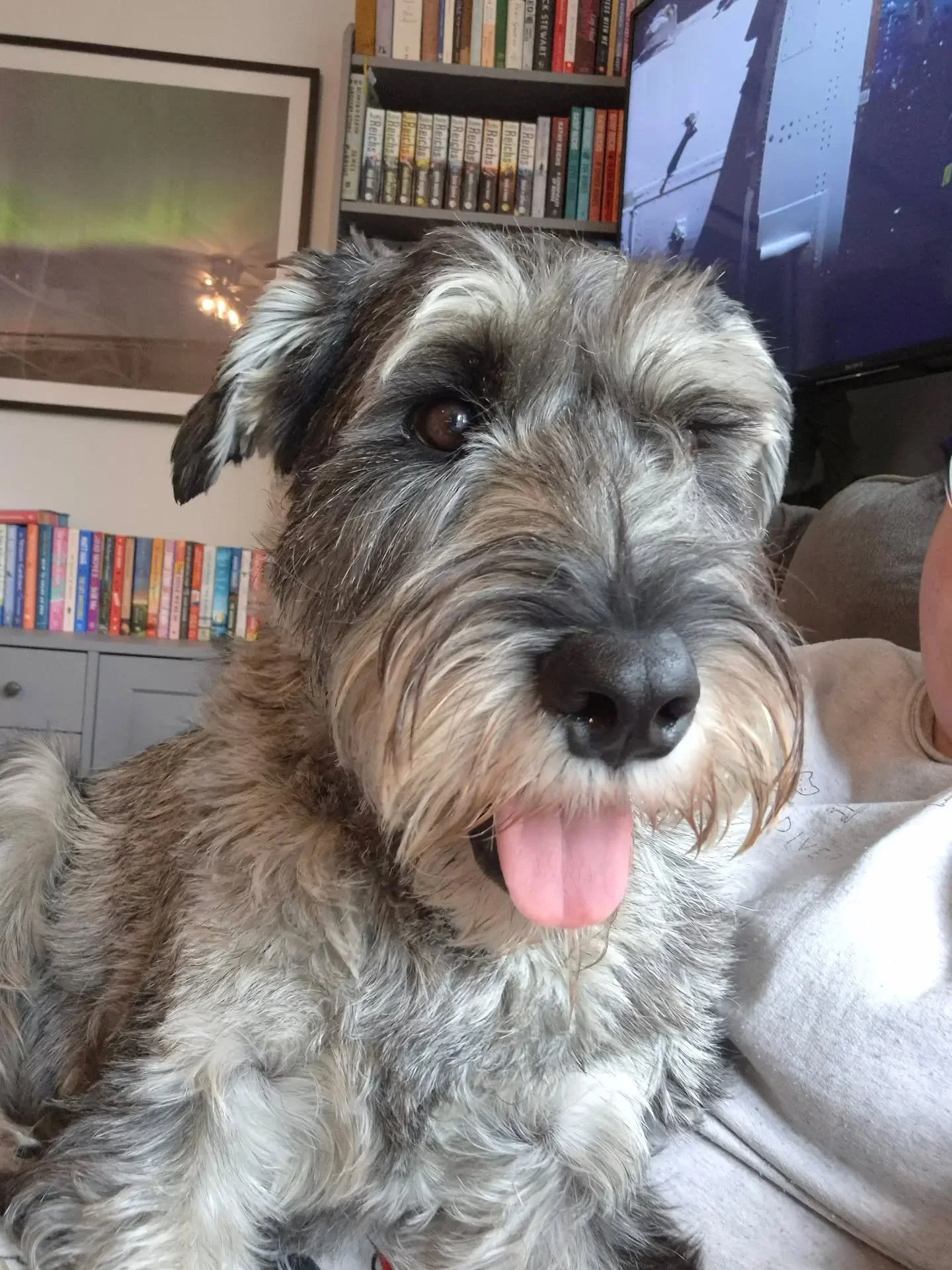 Last week I spent a lot of time thinking about what it means to uncover yourself rather than rebuild from scratch.

And then I got sick.

Which, if you think about it, is exactly what a body does when it's getting ready for something new. It sheds. I