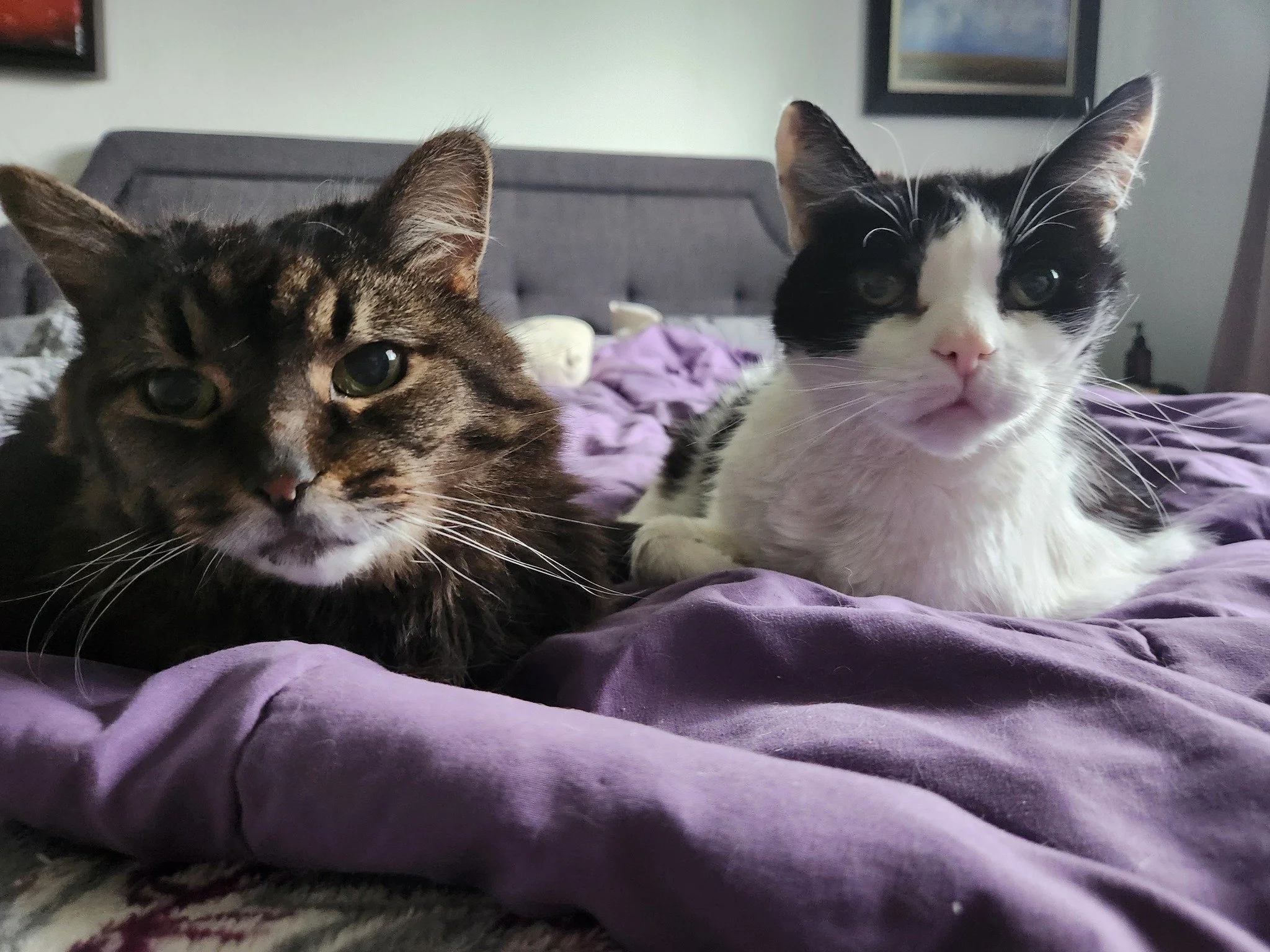 Honestly? I did not want to post today.

I have been sick all week, I am tired, and I sat here for a good twenty minutes trying to come up with something meaningful and grounded and worth your time. And all I kept thinking was that I really just do n