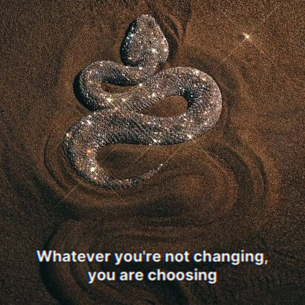 November musings 🐉 🪐 👽 
OOOF!!! The month of November is seriously active with major planetary transits & has a mission to make itself known as a month focused on closing out large chapters of life.
This month you have the opportunity to tur