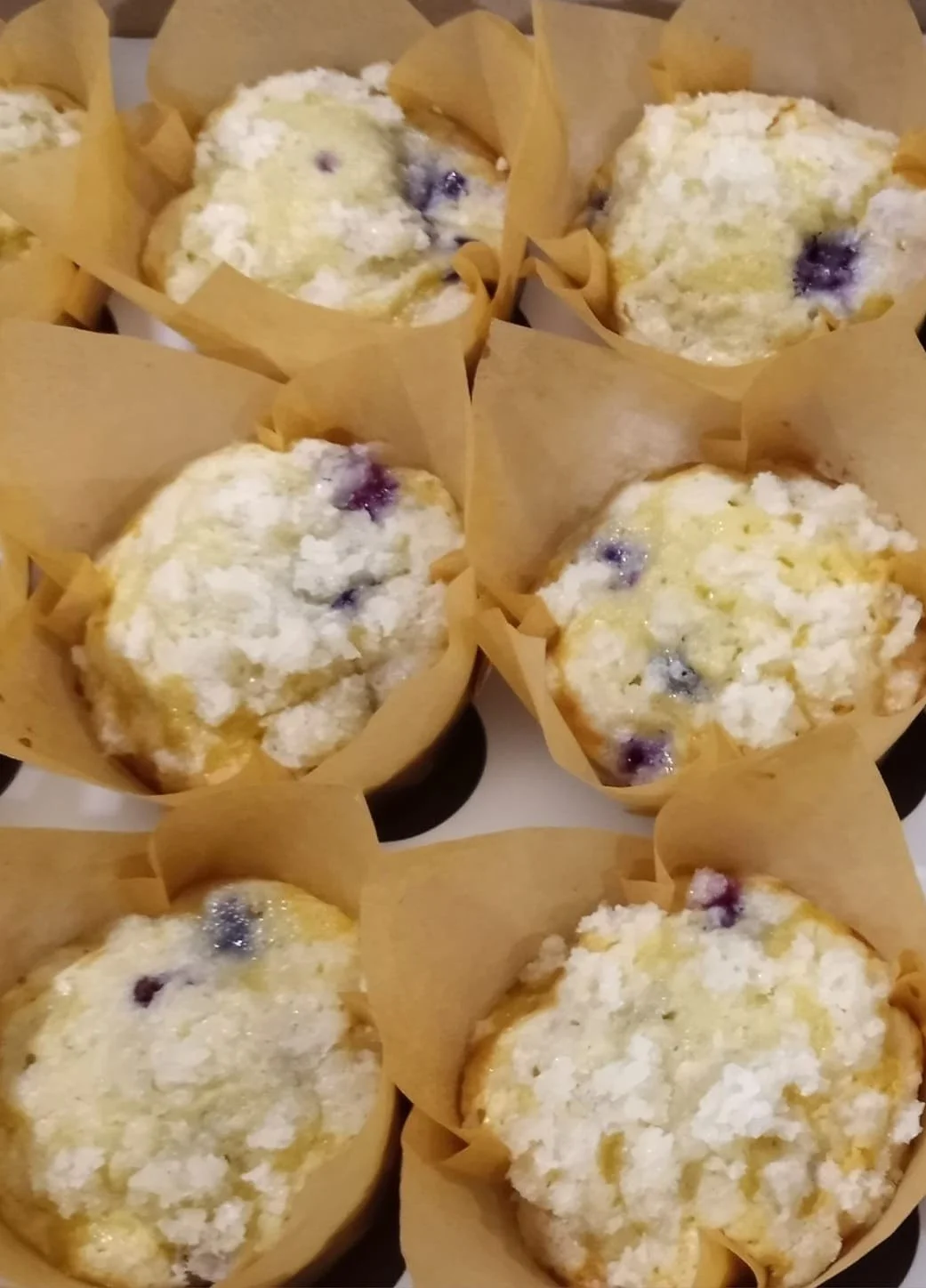 Blueberry Muffins