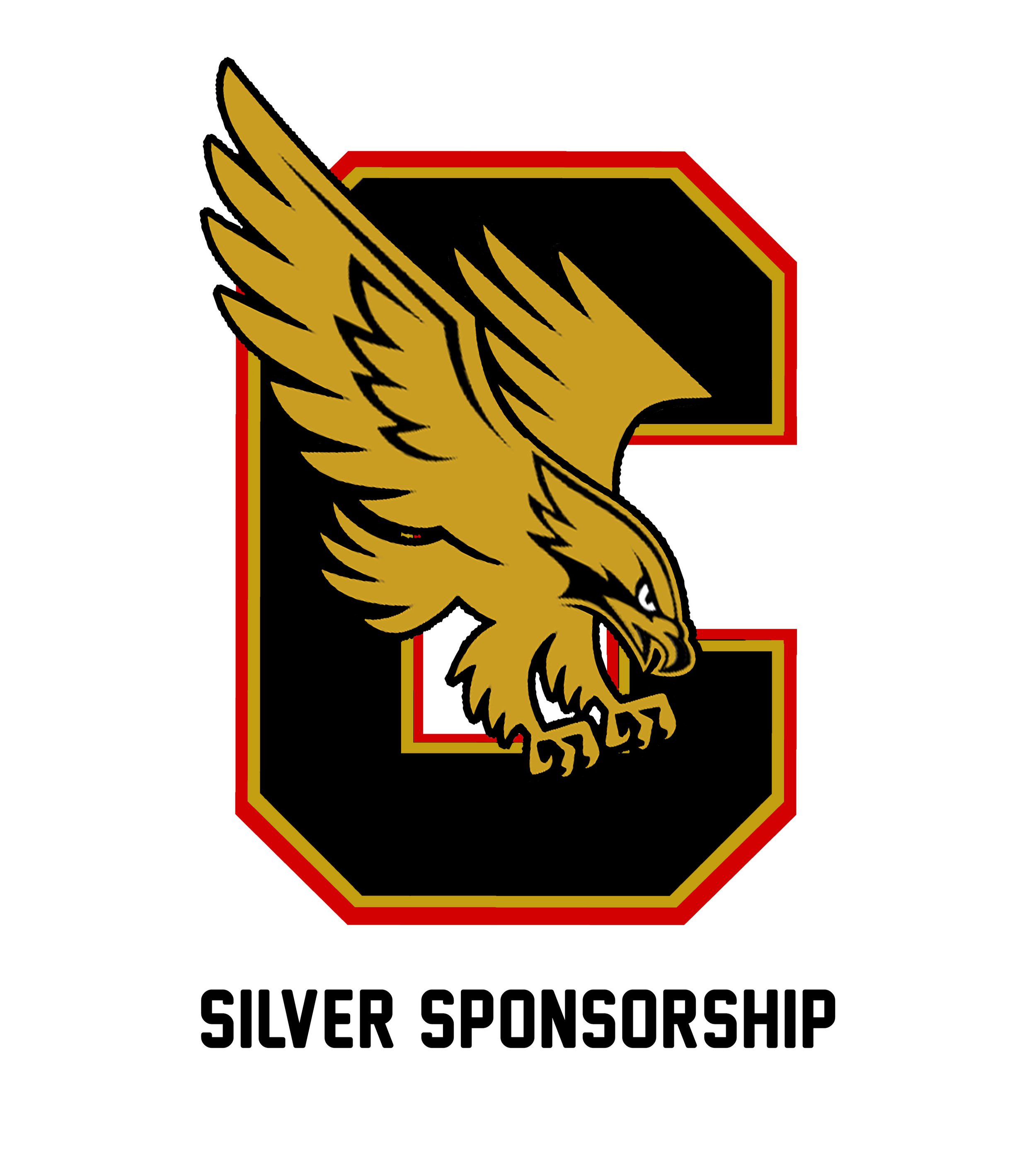 Silver Sponsorship
