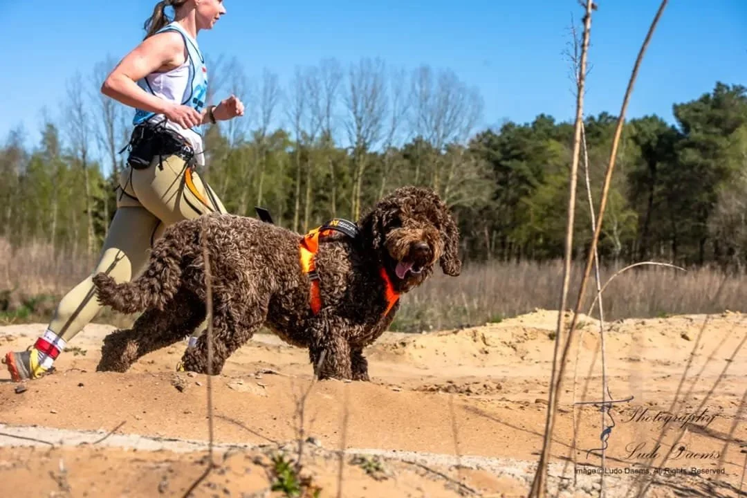 WhatsApp Image 2025-04-08 at 07.25.44.jpeg