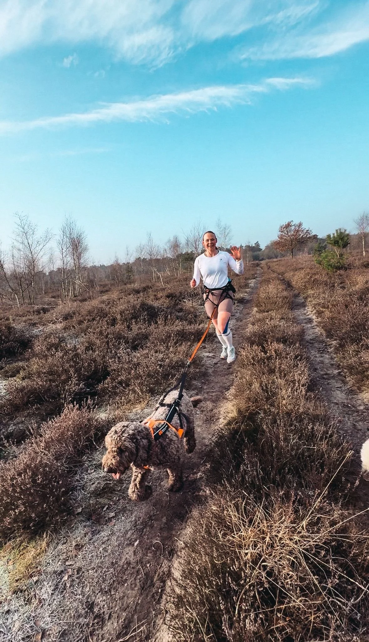 New level unlocked: rennen met hond