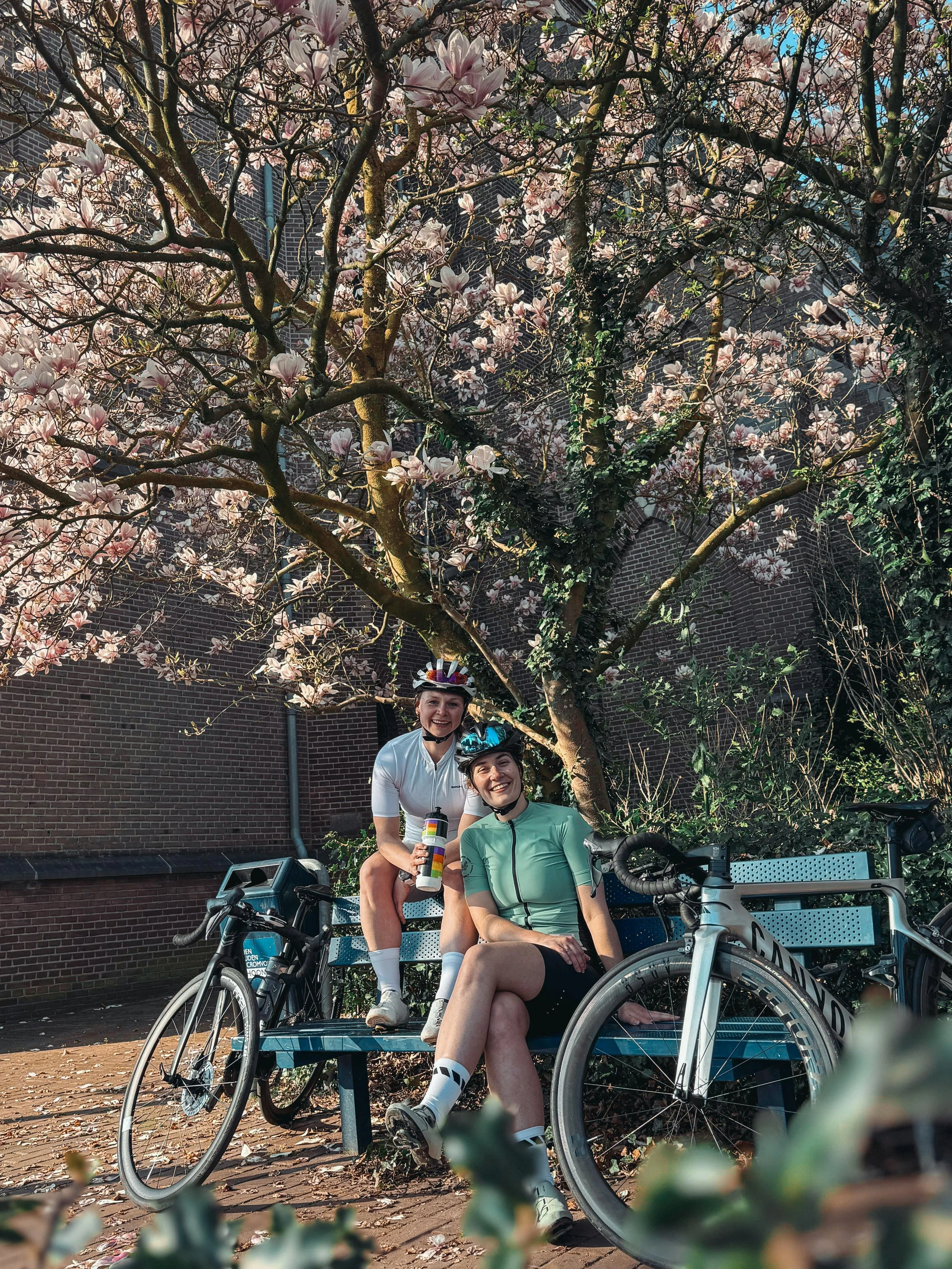 064f7500-5dfd-4e4e-847d-fc109076f4a4.jpg