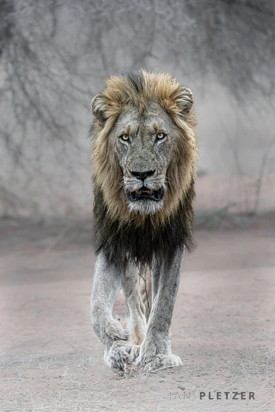 Face your fears now rather than later