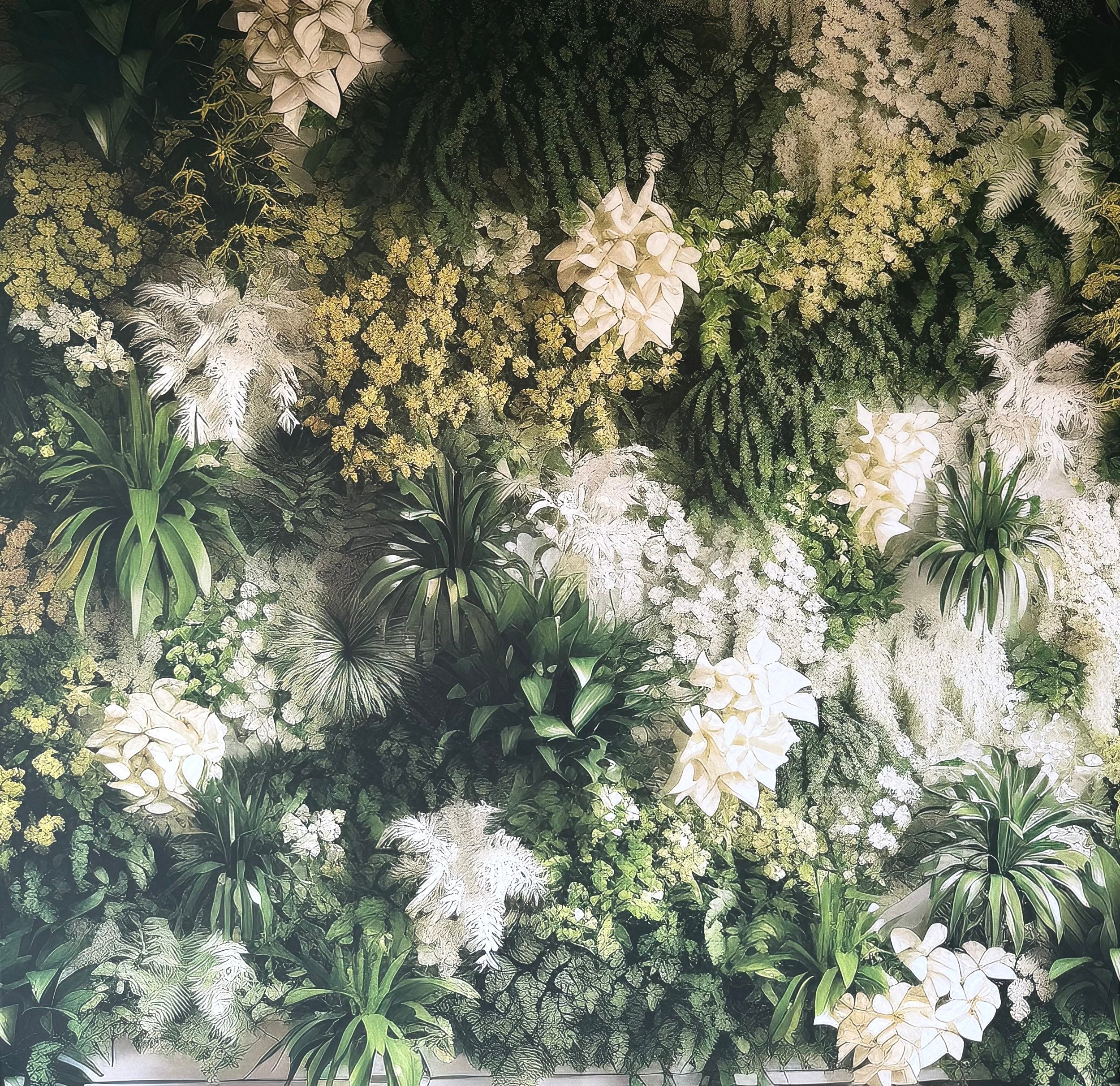 Enchanted Forest
