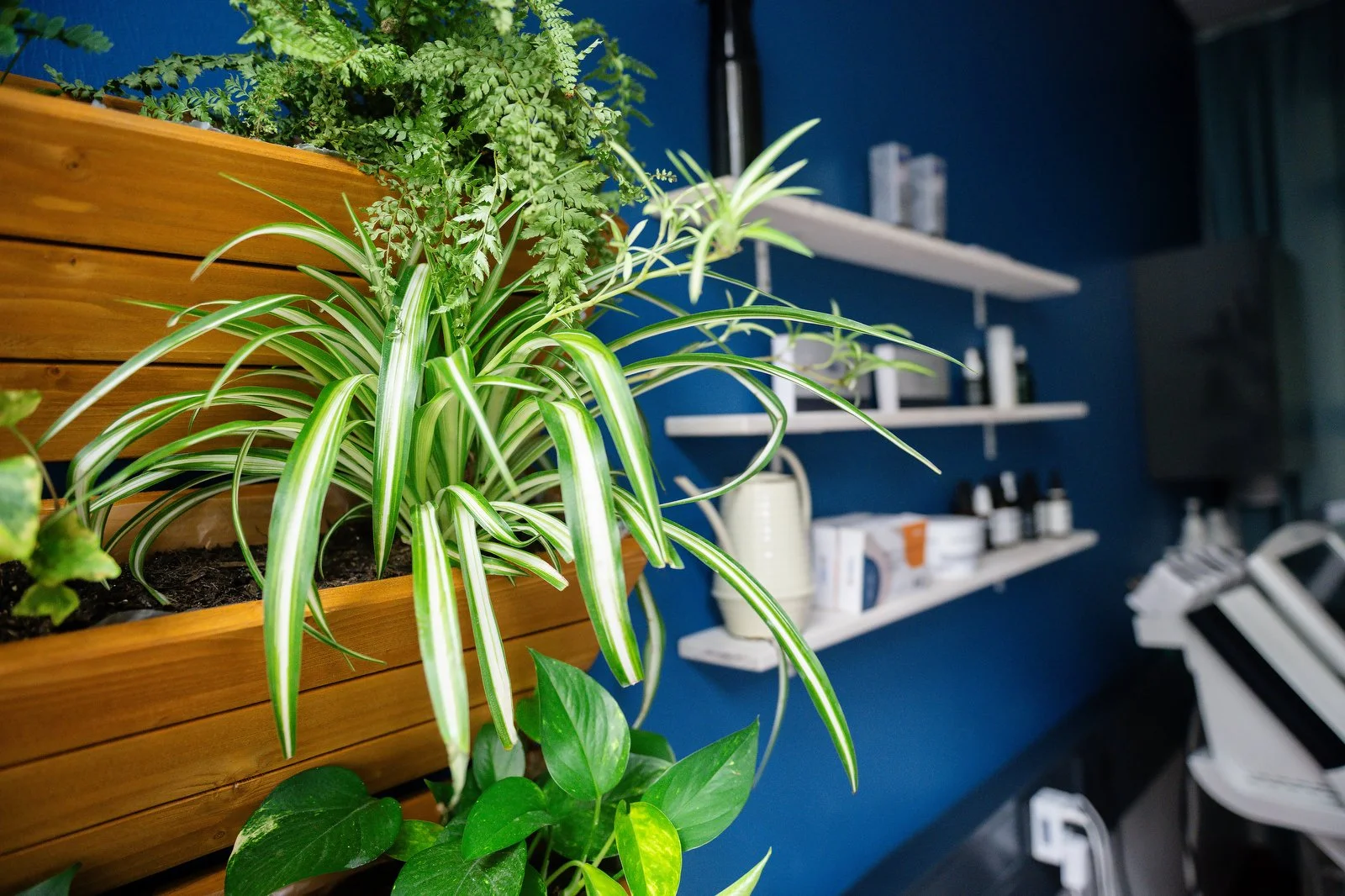 3046_Shooting Dr. Andreas Kromer_Berlin 16.08.2023.JPG