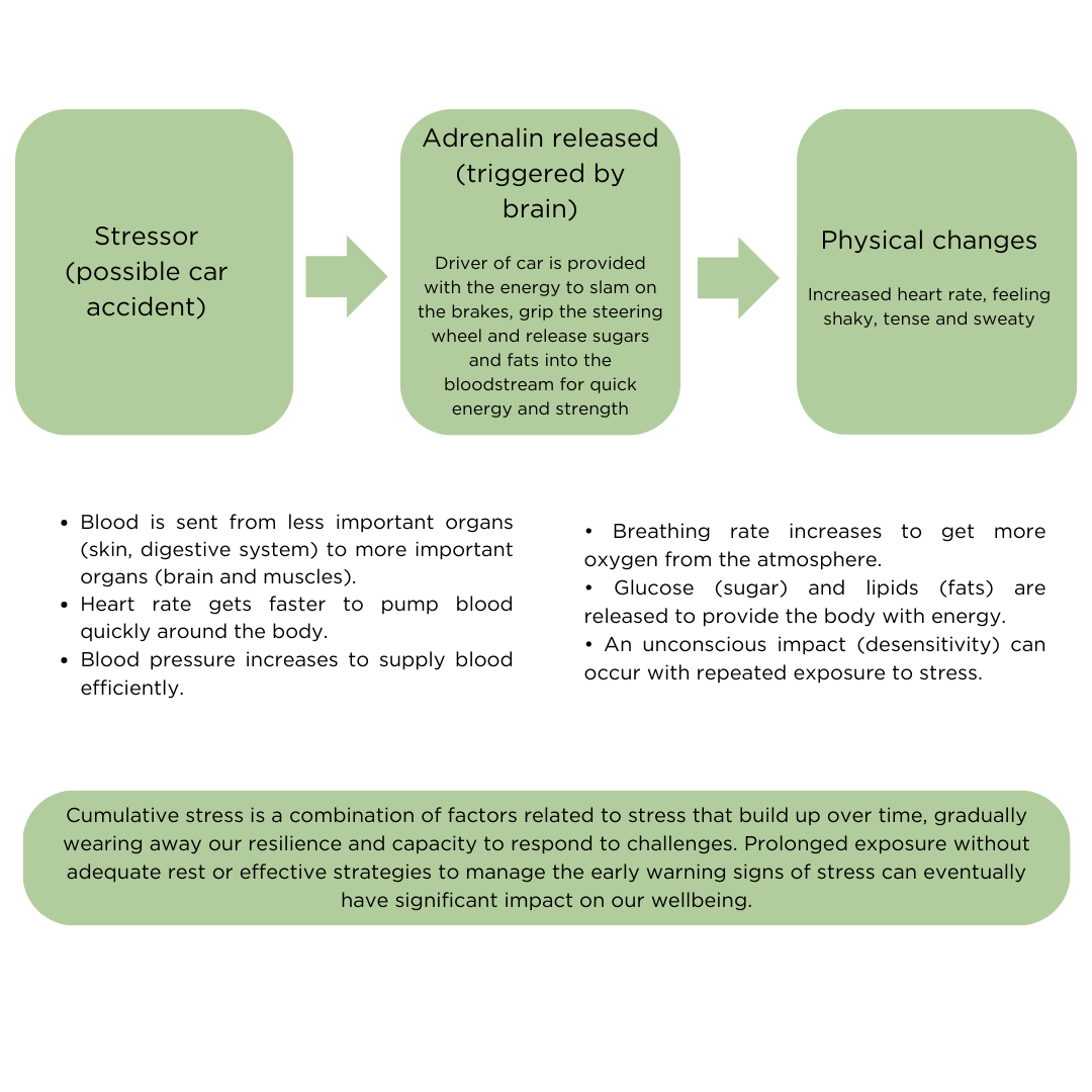 Science behind stress — Clarity Health Care
