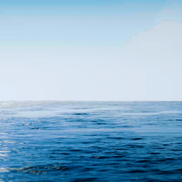 ELEMIS_PC_SH01_v47_1.gif