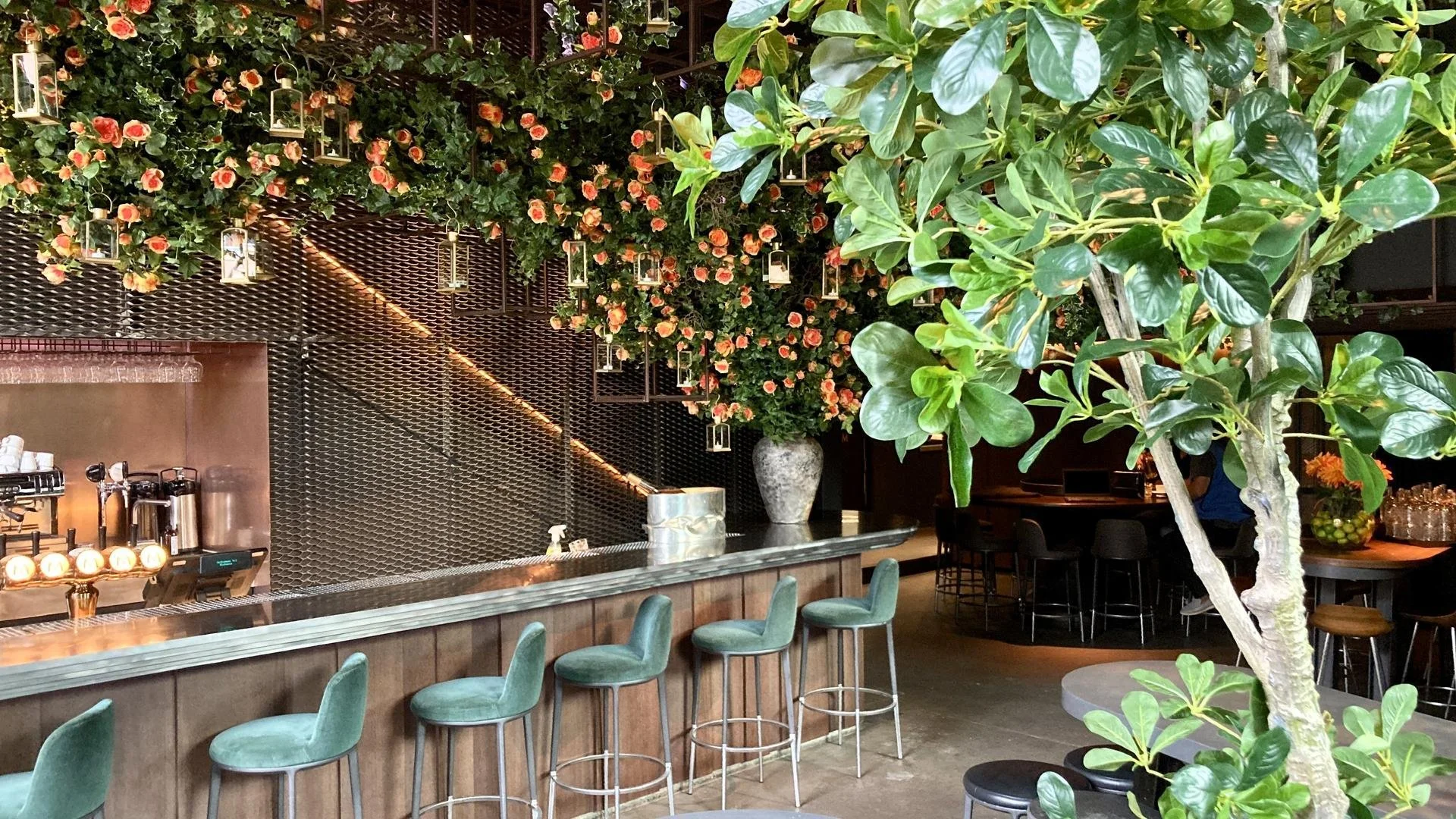 Lunsjguiden: Bedre blir det ikke